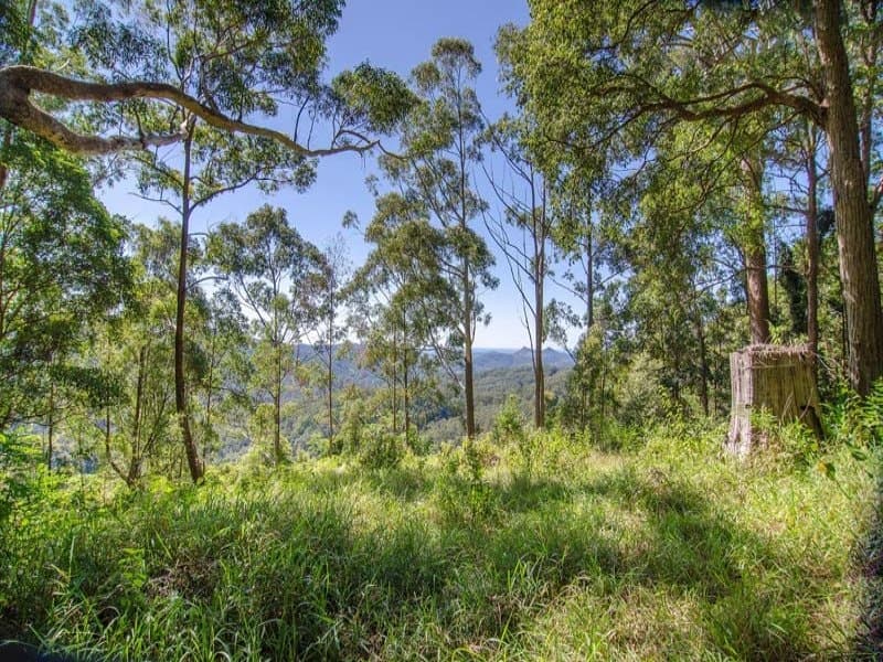 Lot 1 Middle Ridge Road, Upper Main Arm NSW 2482, Upper Main Arm - Thumbnail 2