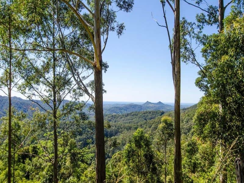 Lot 1 Middle Ridge Road, Upper Main Arm NSW 2482, Upper Main Arm - Thumbnail 4