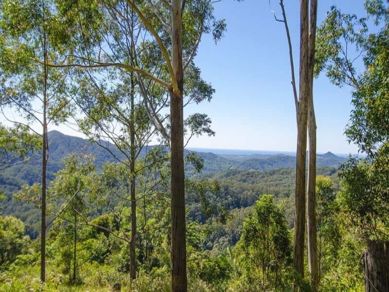 Lot 1 Middle Ridge Road, Upper Main Arm NSW 2482, Upper Main Arm - Thumbnail 5