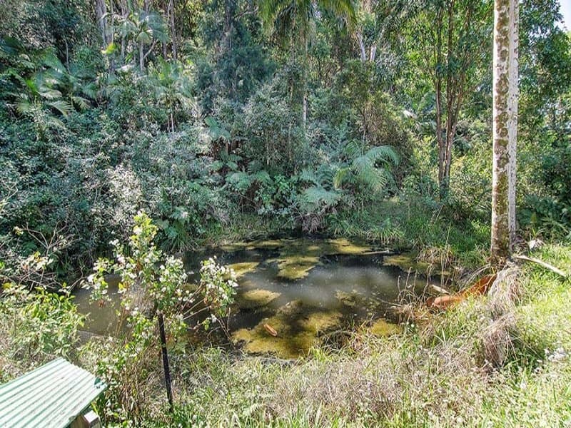 Lot 1 Beatties Creek Road, Goonengerry NSW 2482, Goonengerry - Thumbnail 5