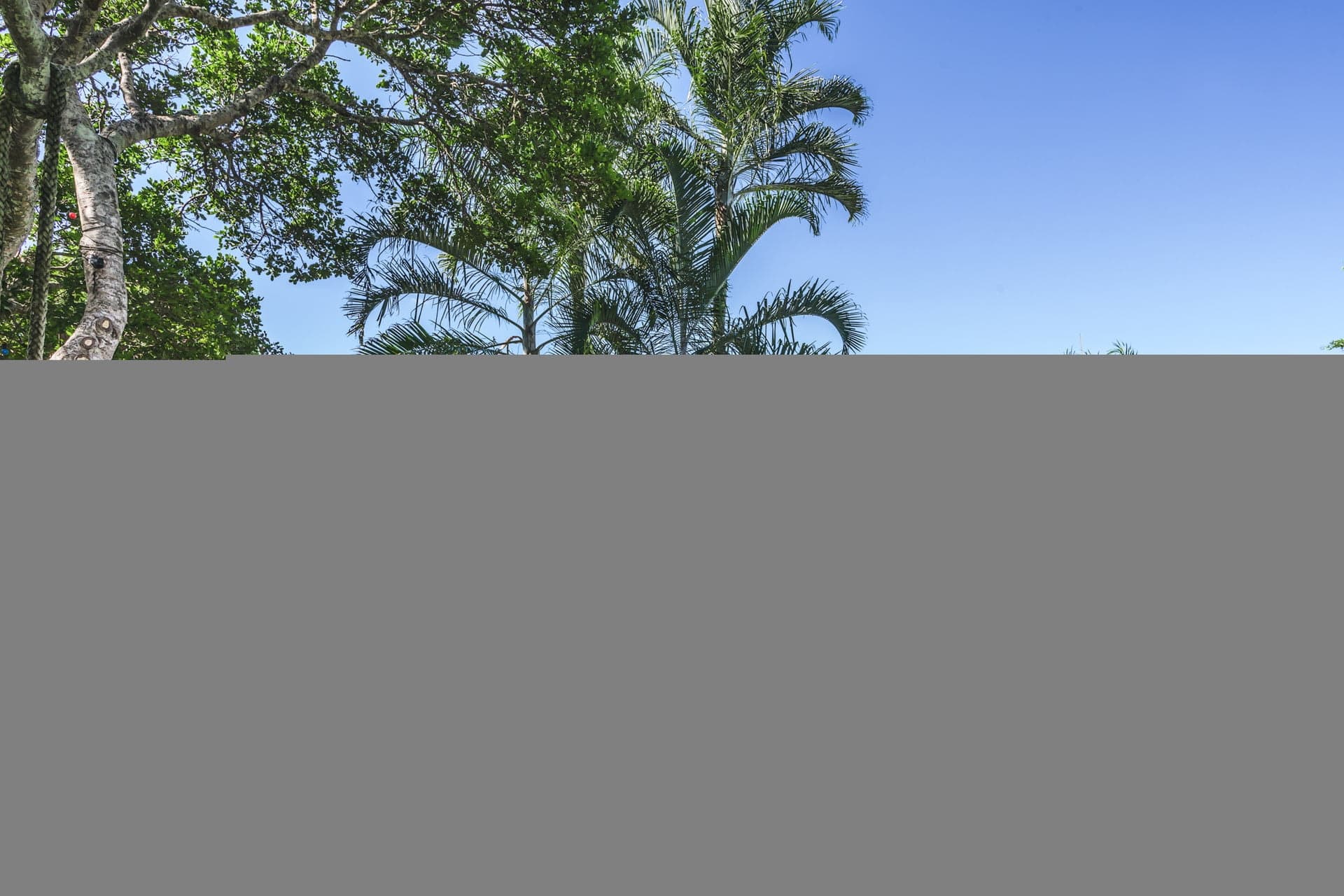 130 Grays Lane, Tyagarah NSW 2481, Tyagarah - Thumbnail 3