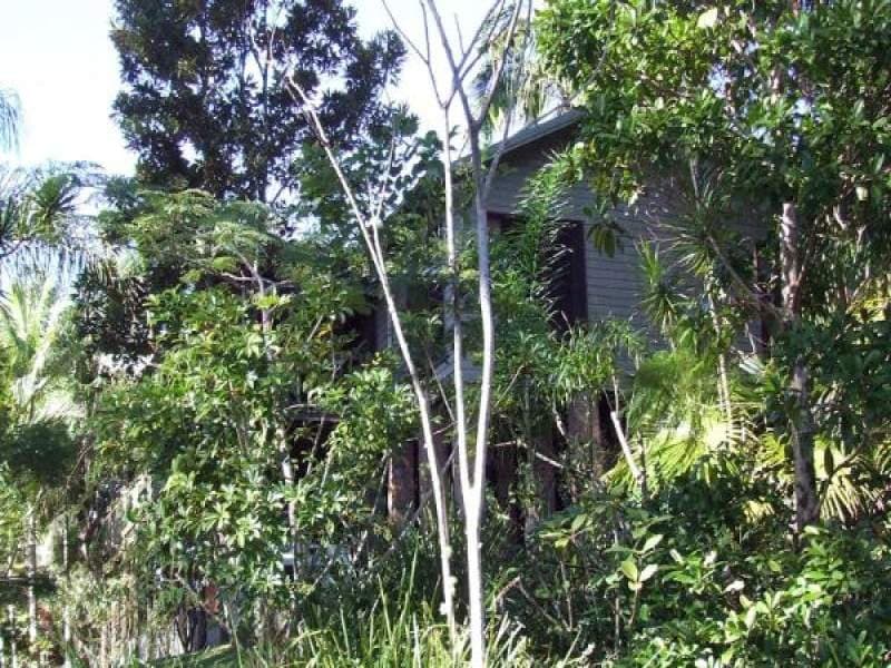 175 Stock Route Road, Billinudgel - Thumbnail 5