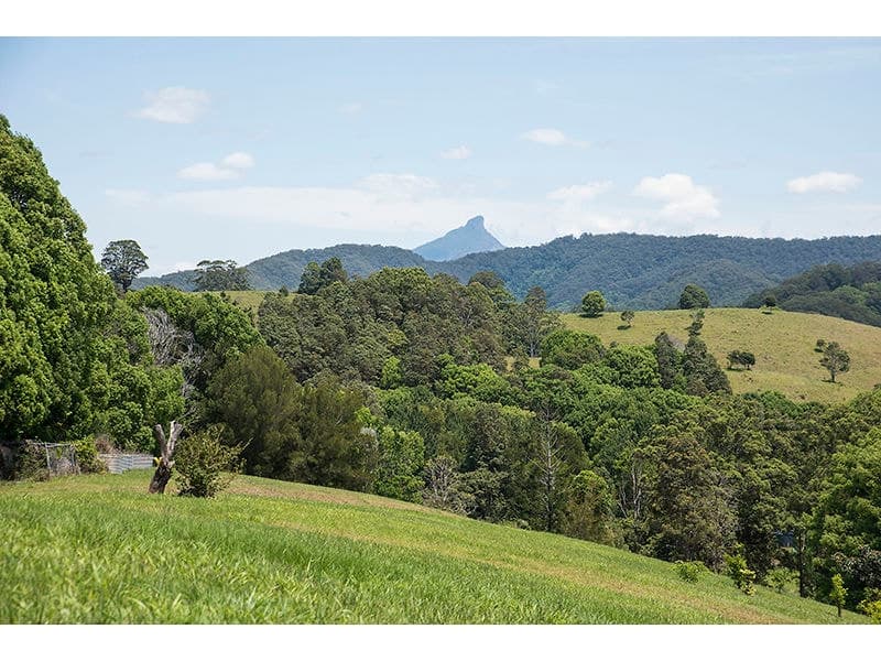 25 The Bloodwoods Road, Stokers Siding NSW 2484, Stokers Siding - Thumbnail 2