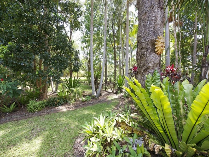 81 Yelgun Road, Yelgun NSW 2483, Yelgun - Thumbnail 3