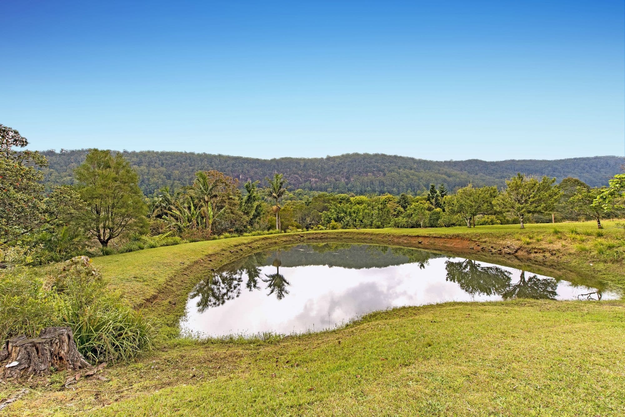 860 Wilsons Creek Road St, Wilsons Creek NSW 2482, Wilsons Creek - Thumbnail 8