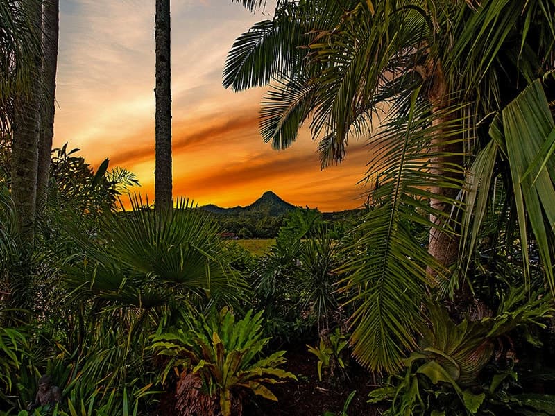 44 Main Arm Rd, Mullumbimby NSW 2482, Mullumbimby - Thumbnail 2