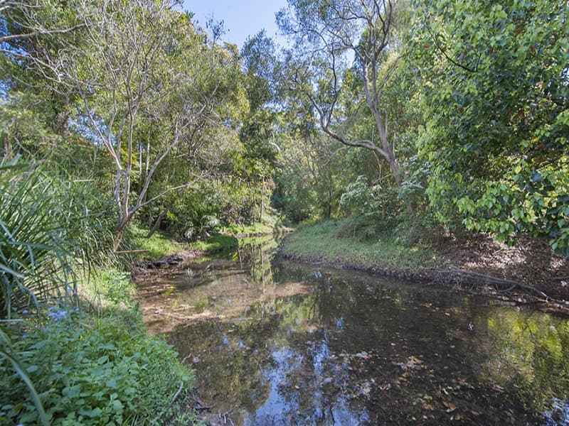 19 Moffatts Road, Billinudgel NSW 2483, Billinudgel - Thumbnail 3