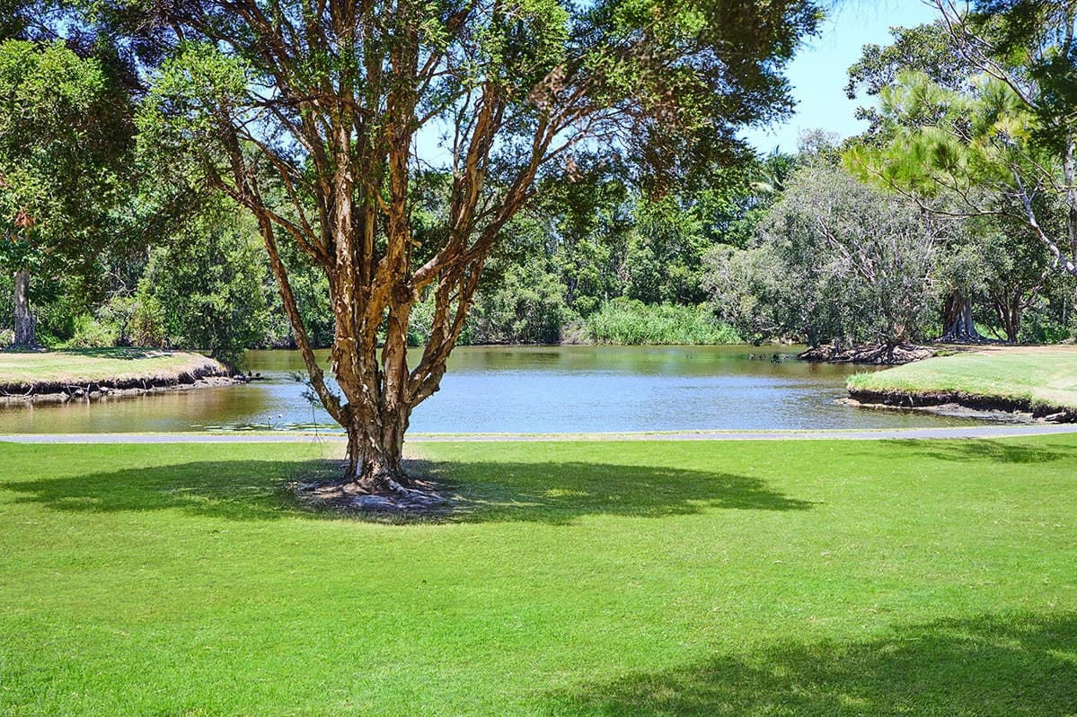 48 Balemo Dr, Ocean Shores NSW 2483, Ocean Shores - Thumbnail 4