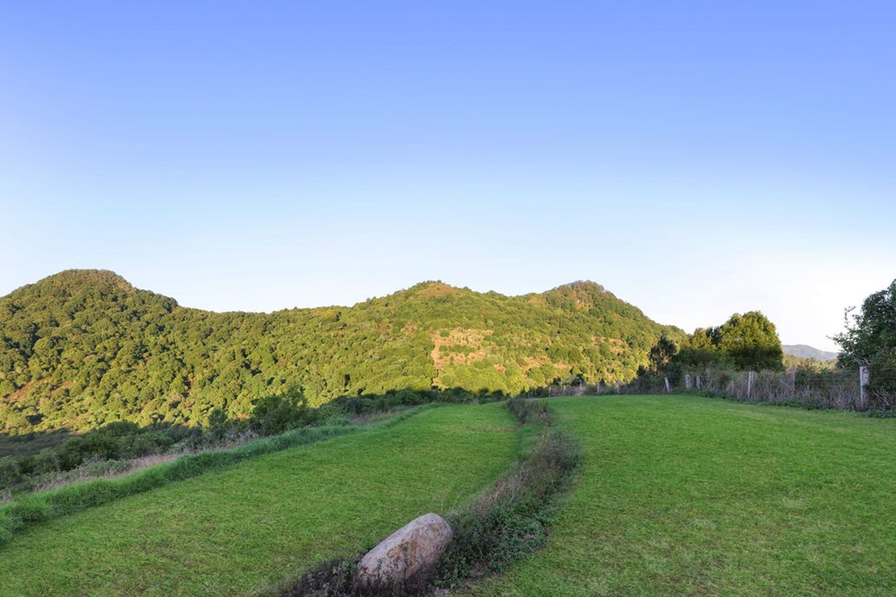 170 Dudgeons Road, Mullumbimby - Thumbnail 6