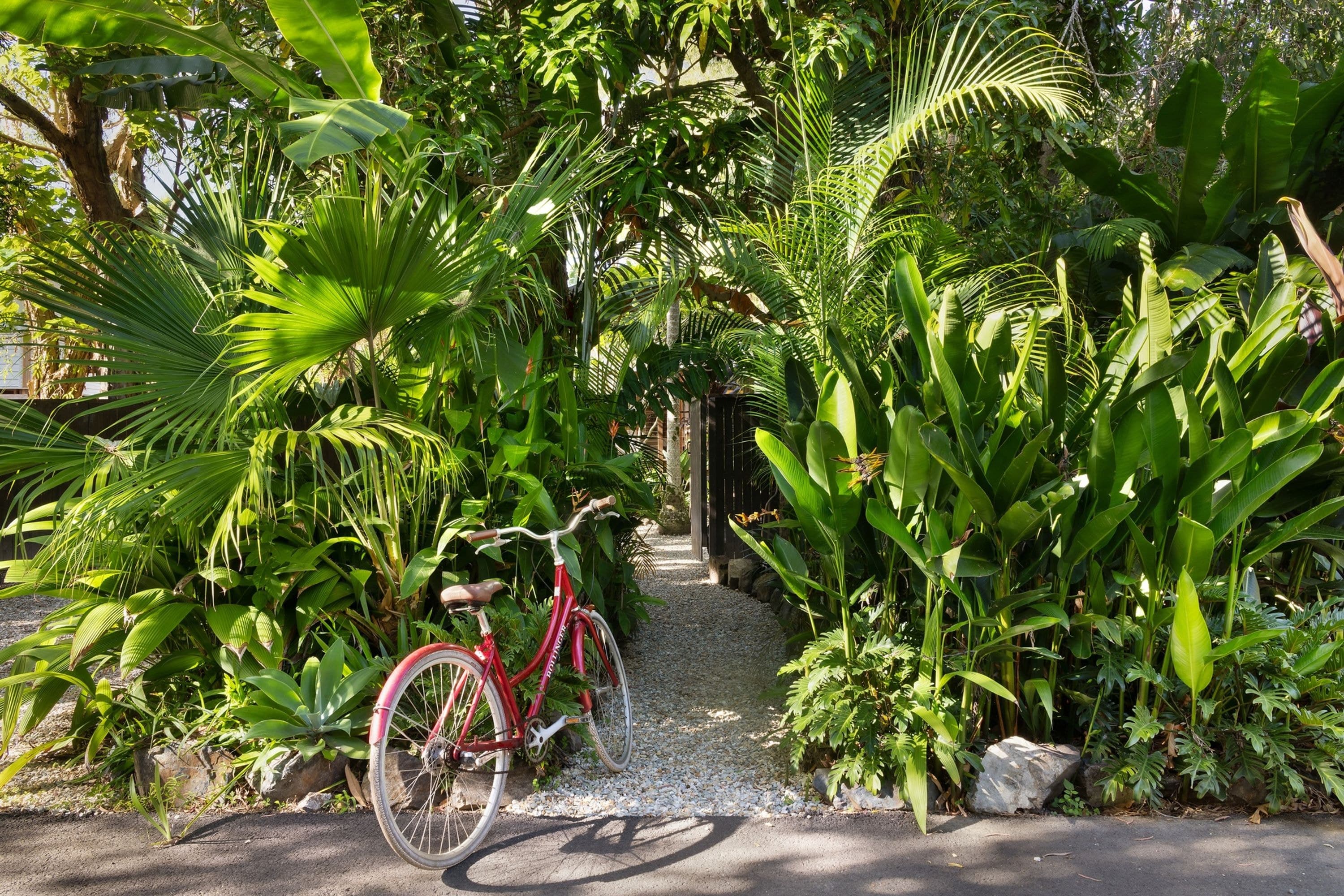 36 Peter Street, South Golden Beach - Thumbnail 2