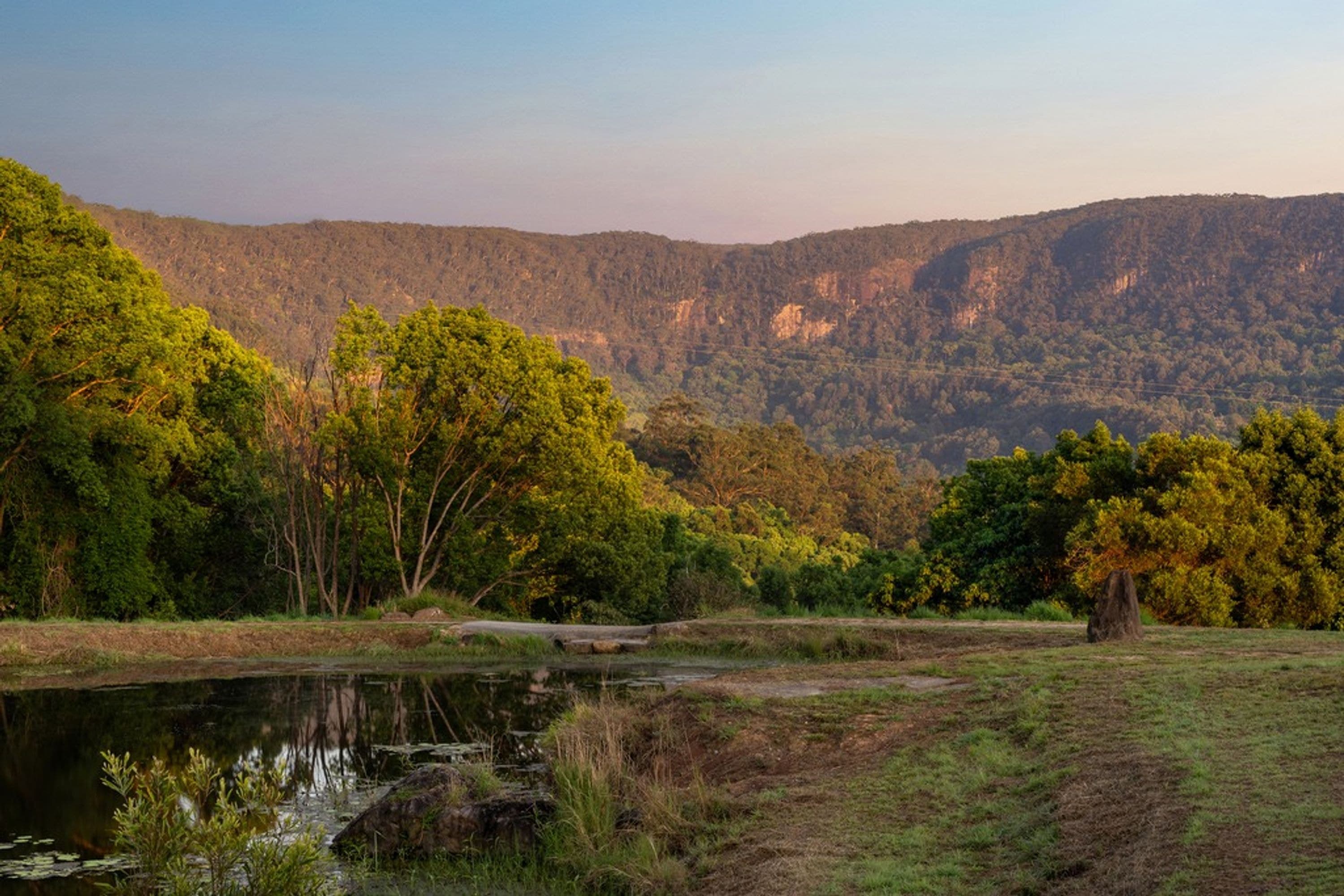 553 Left Bank Road, Mullumbimby Creek - Thumbnail 4