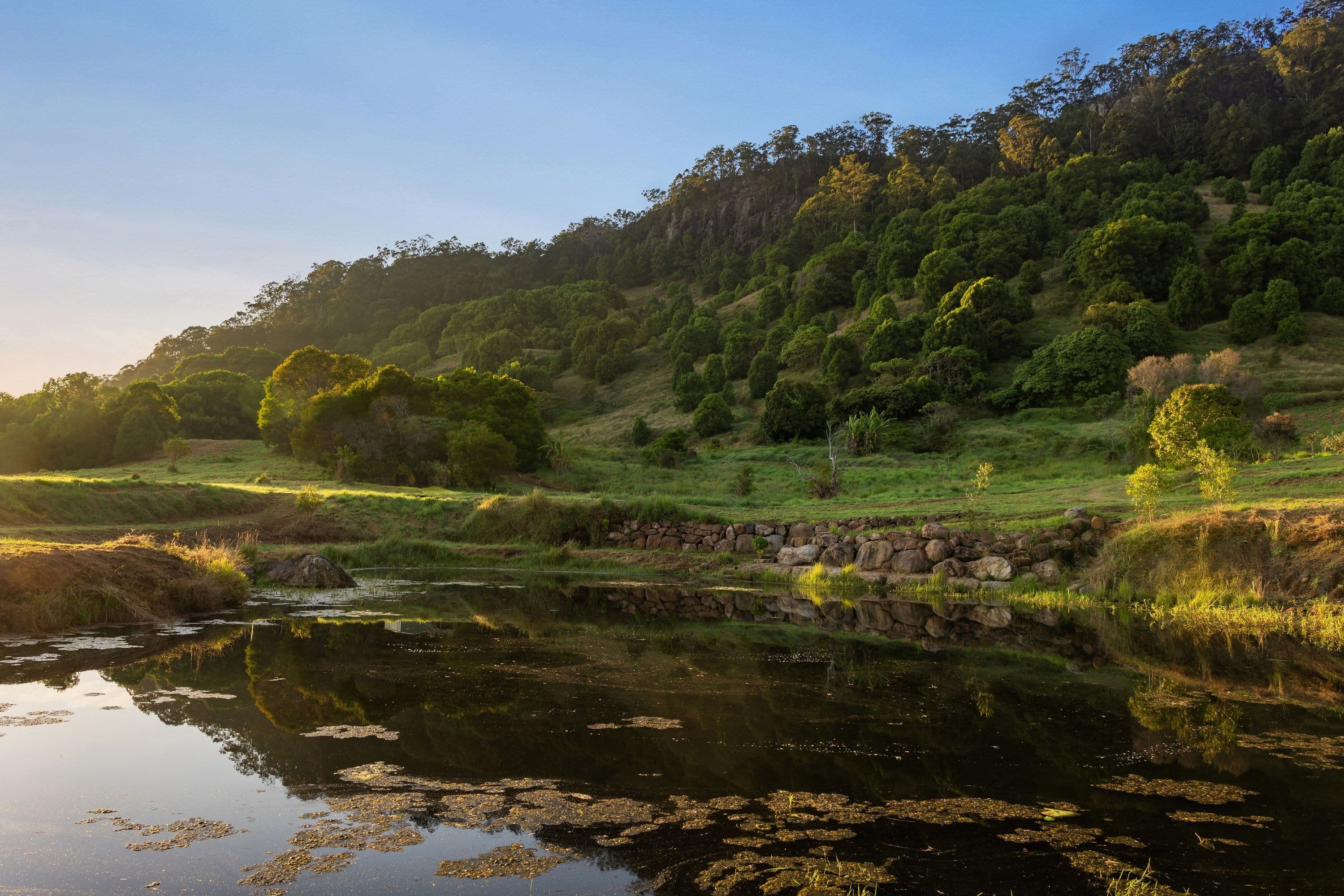 553 Left Bank Road, Mullumbimby Creek - Thumbnail 5