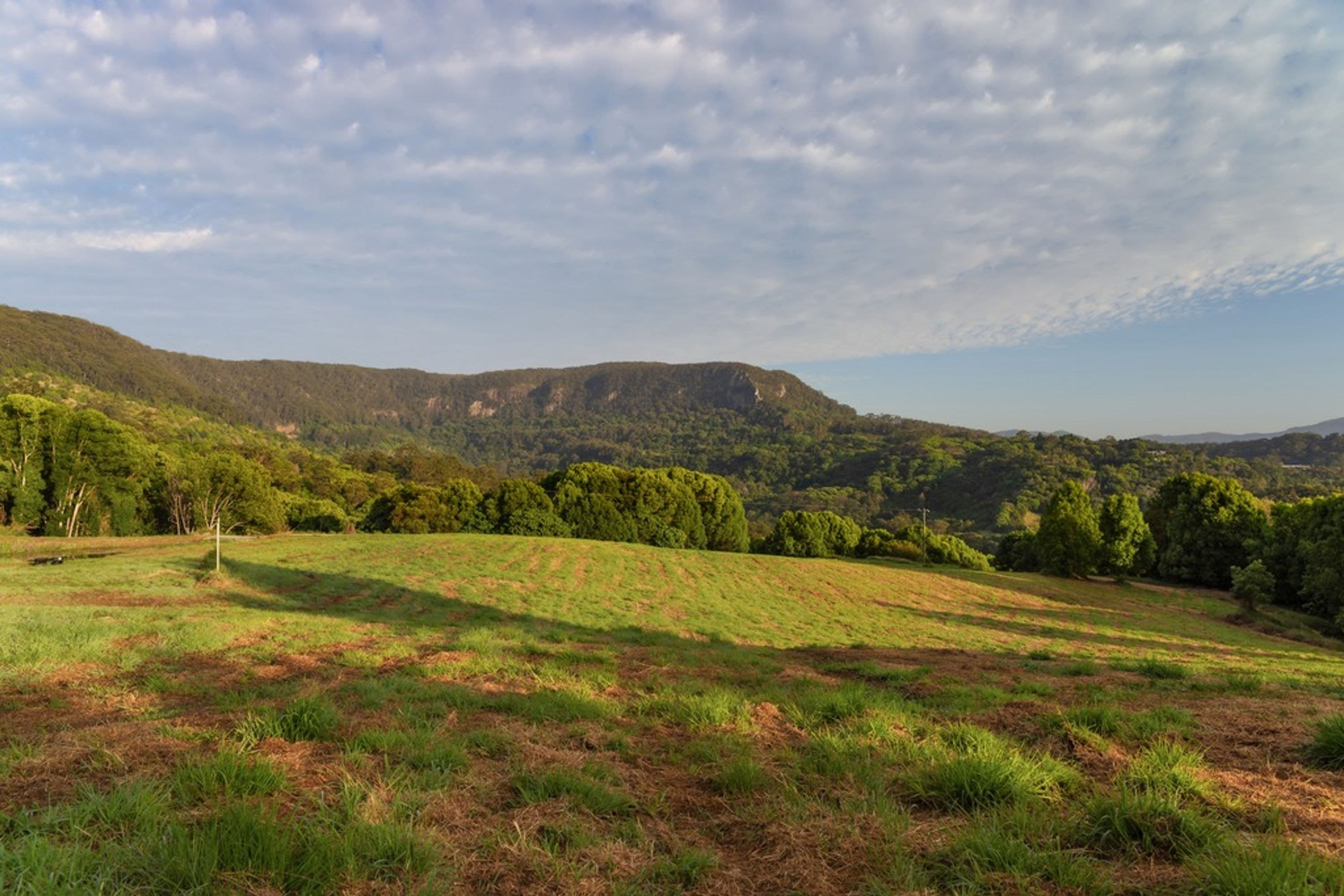 553 Left Bank Road, Mullumbimby Creek - Thumbnail 6