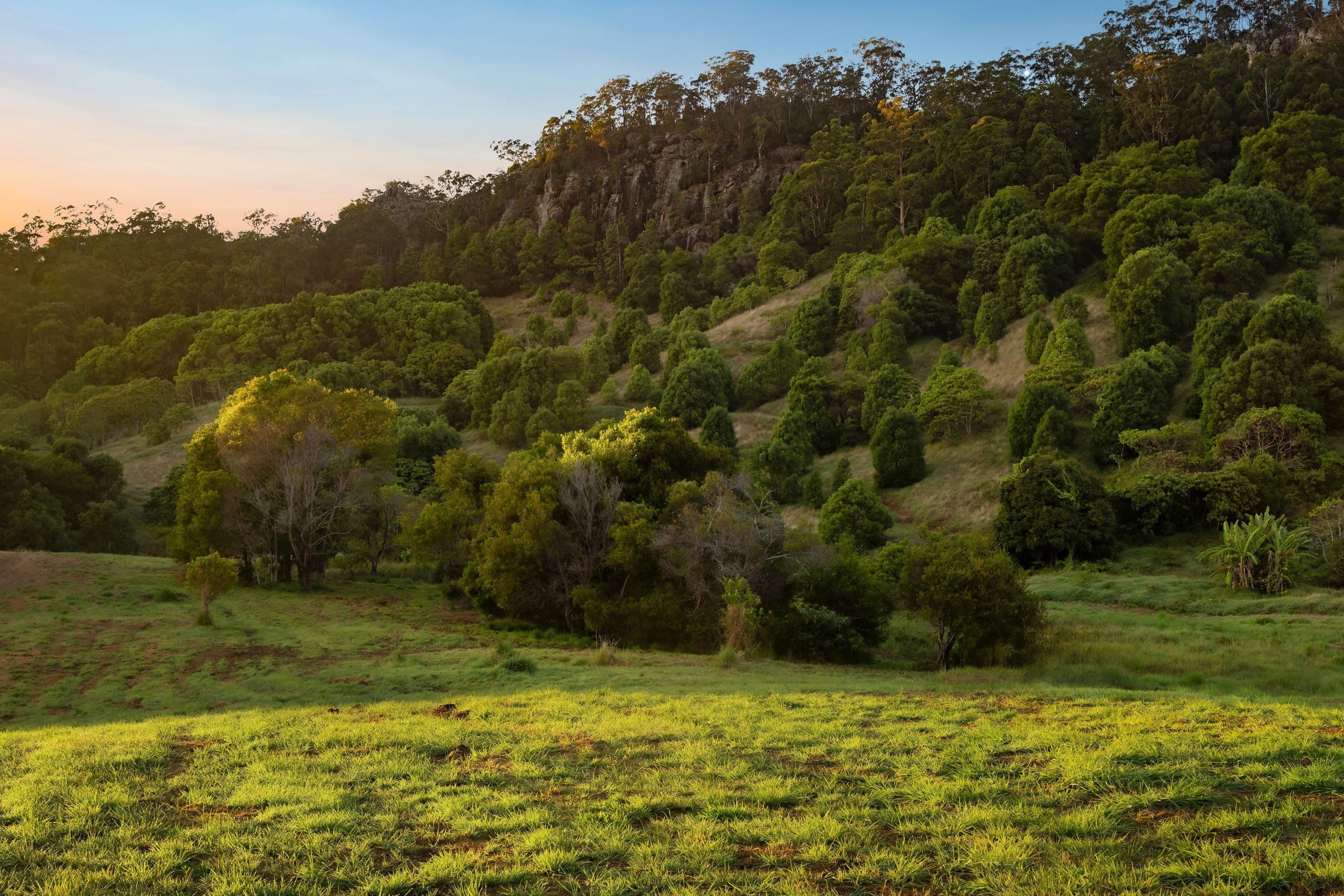 553 Left Bank Road, Mullumbimby Creek - Thumbnail 8