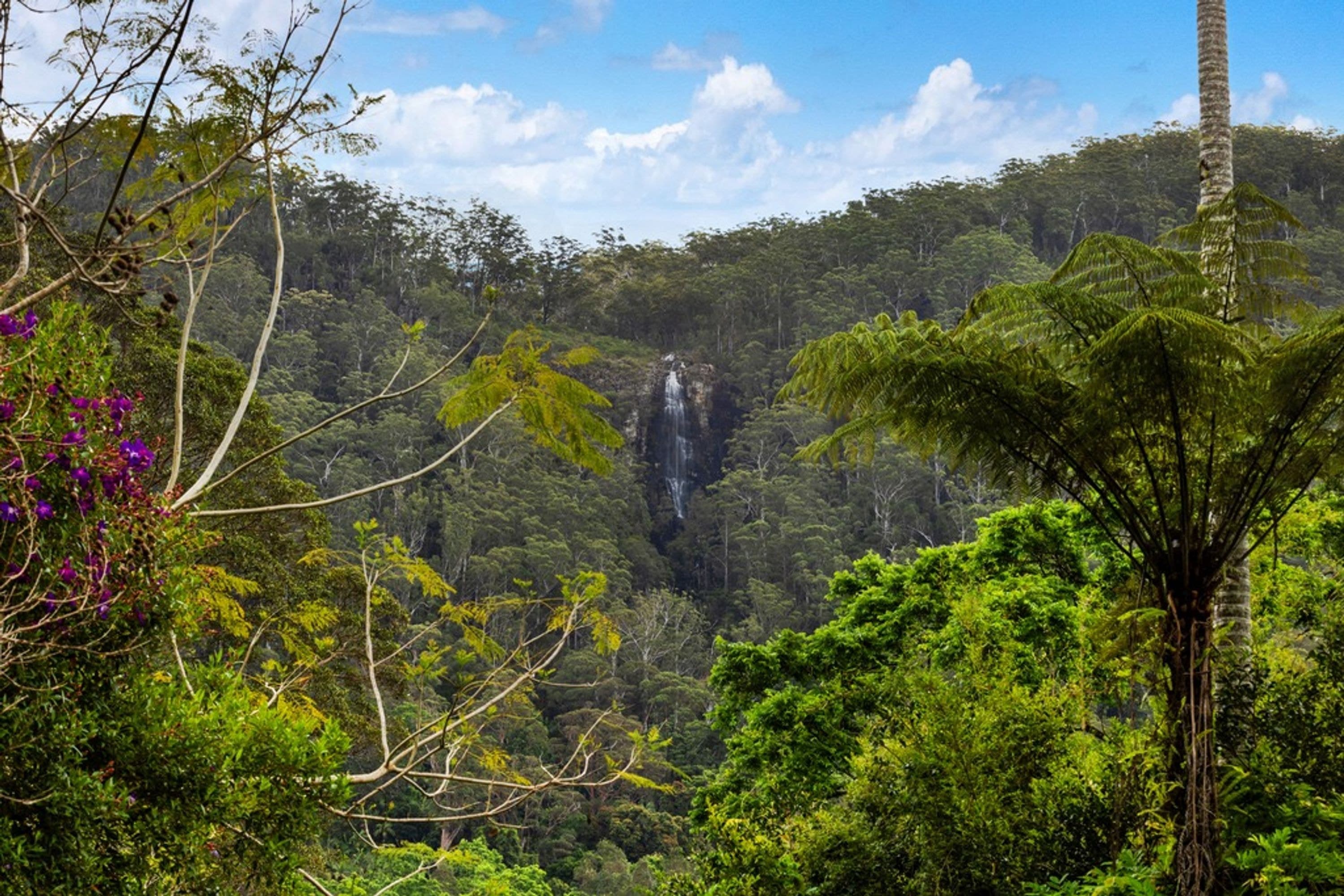 5/246 Upper Wilson Creek Road, Upper Wilsons Creek - Thumbnail 2