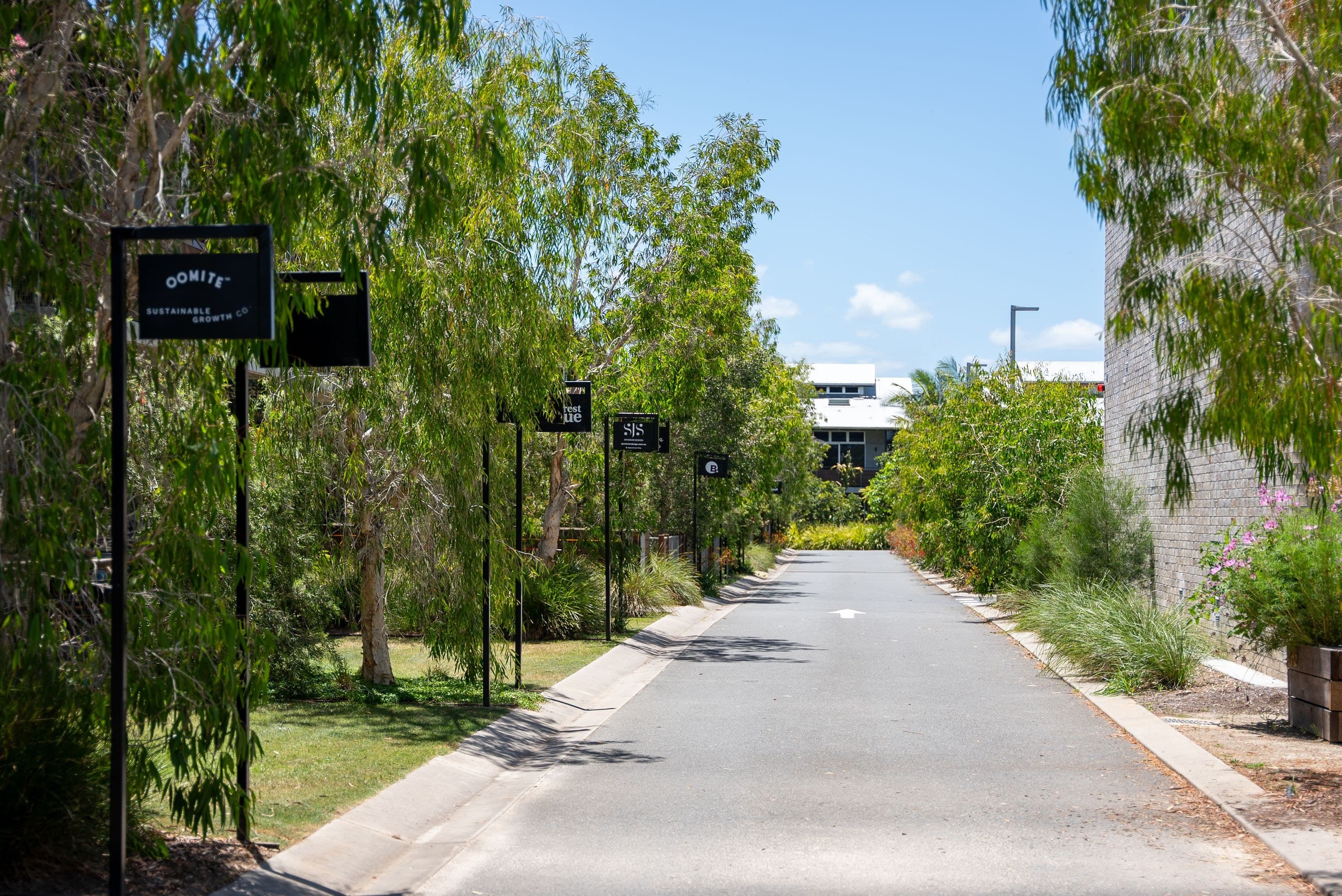 16 Parkes Avenue, Byron Bay - Thumbnail 8