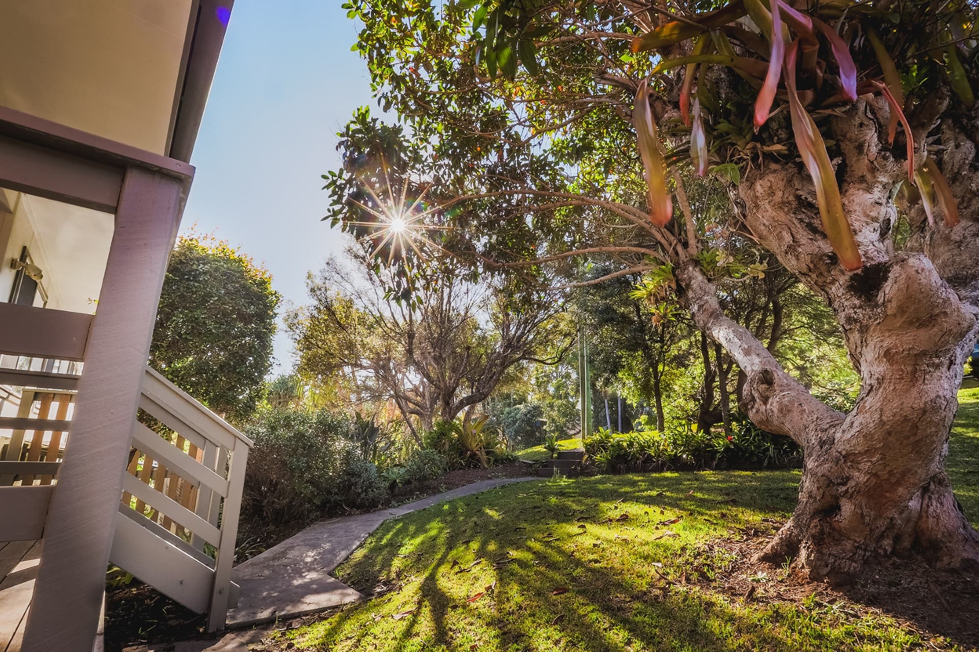 13 Mackay Street, Byron Bay - Thumbnail 8