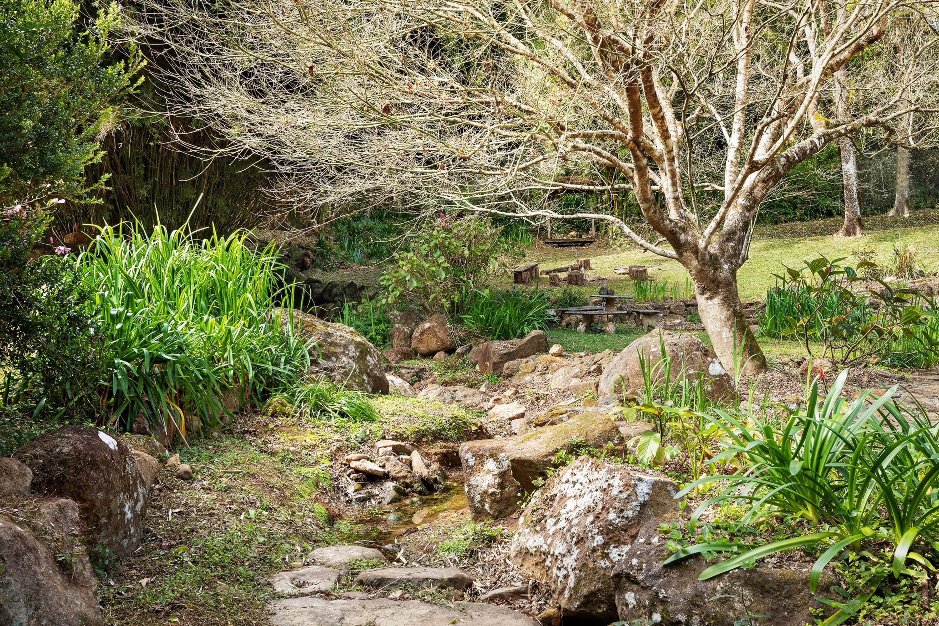 7/246 Upper Wilson Creek Road, Upper Wilsons Creek - Thumbnail 6