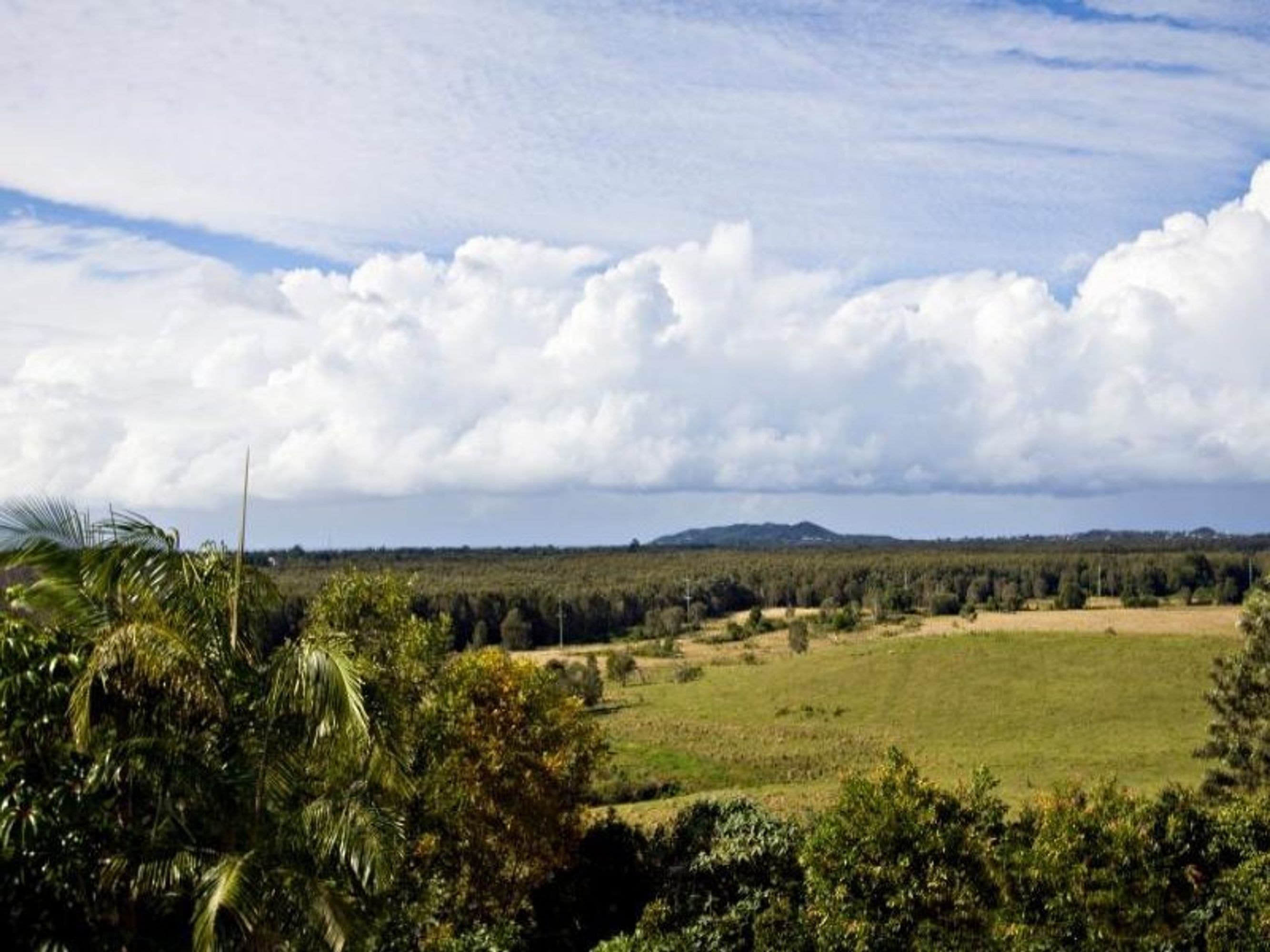 9 Cape Vista Drive, Byron Bay - Thumbnail 4