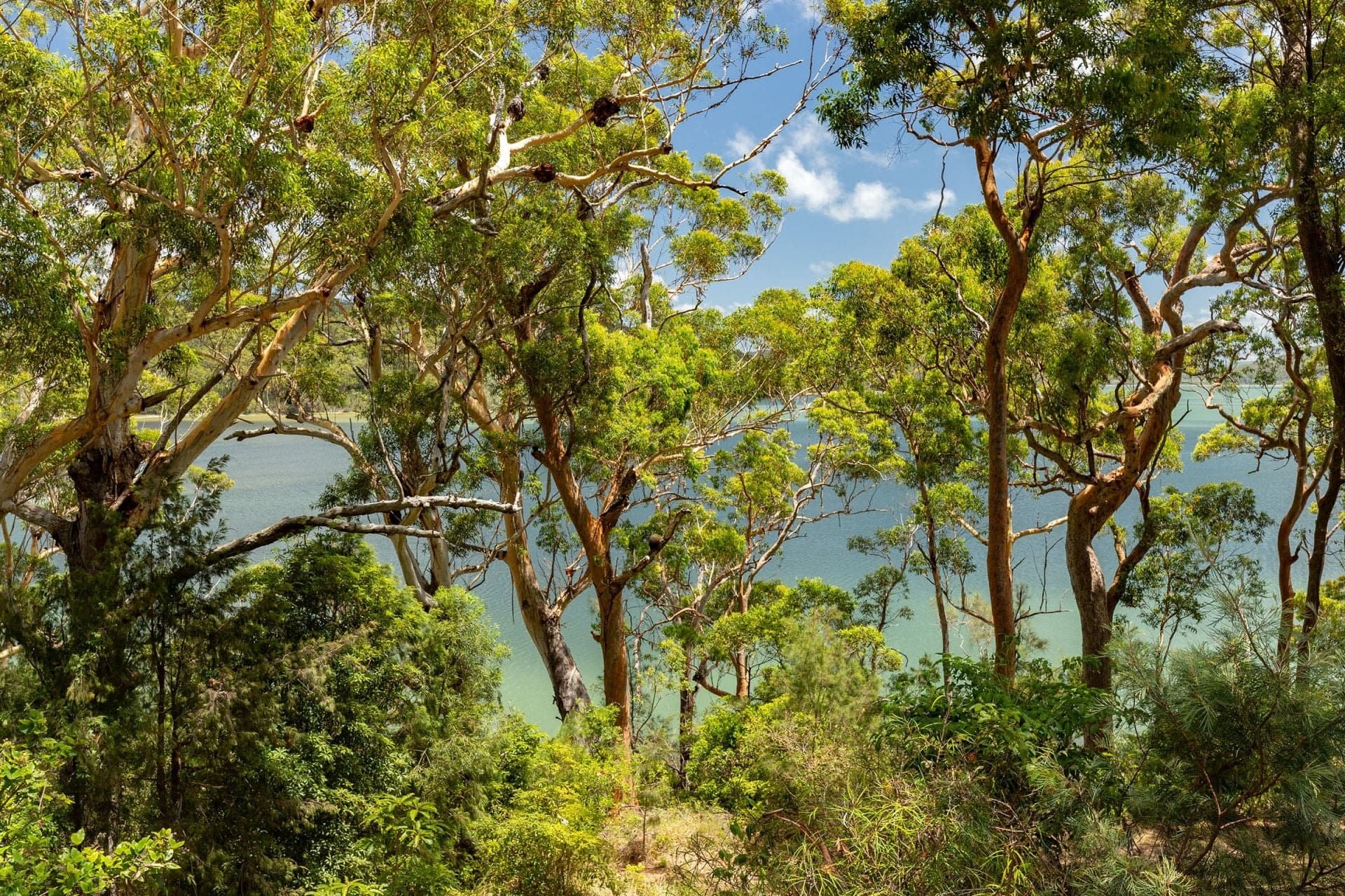 47 Amaroo Drive, Smiths Lake NSW, Smiths Lake - Thumbnail 2