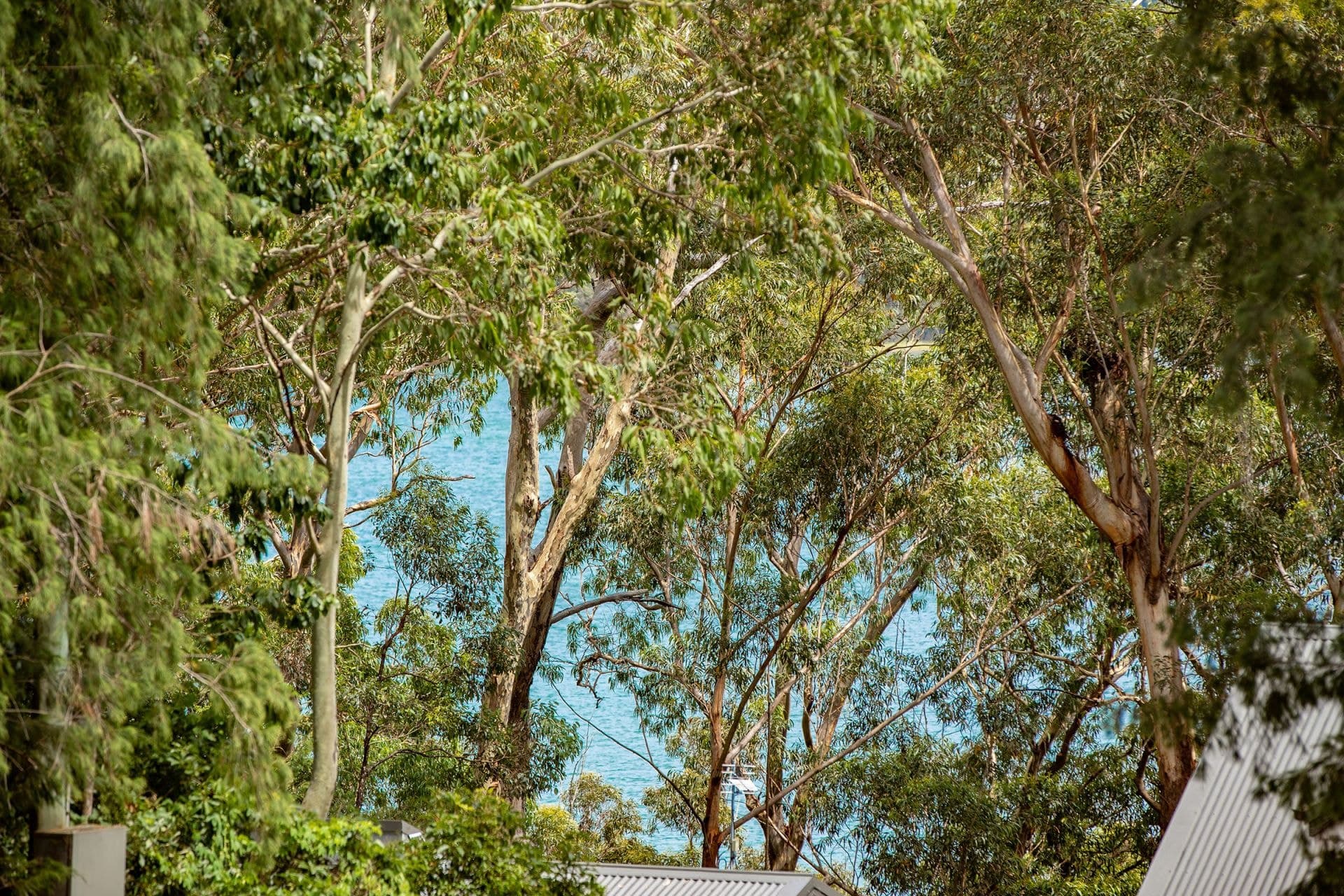 2 First Ridge Road, Smiths Lake NSW, Smiths Lake - Thumbnail 8
