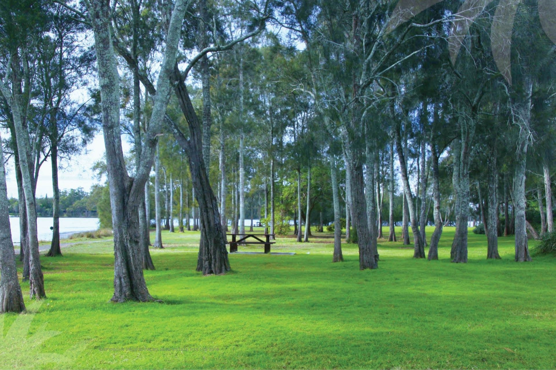 58/7 Yarran Place, Coomba Park NSW, Coomba Park - Thumbnail 7