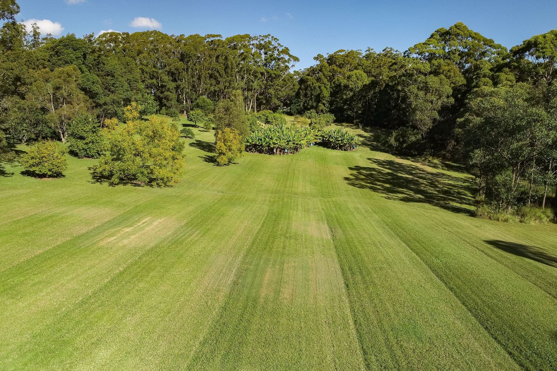 4 Thomas Place, Bungwahl NSW, Bungwahl - Image 1