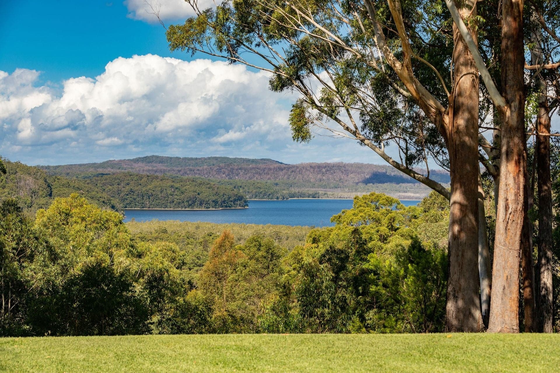 4 Thomas Place, Bungwahl NSW, Bungwahl - Thumbnail 2