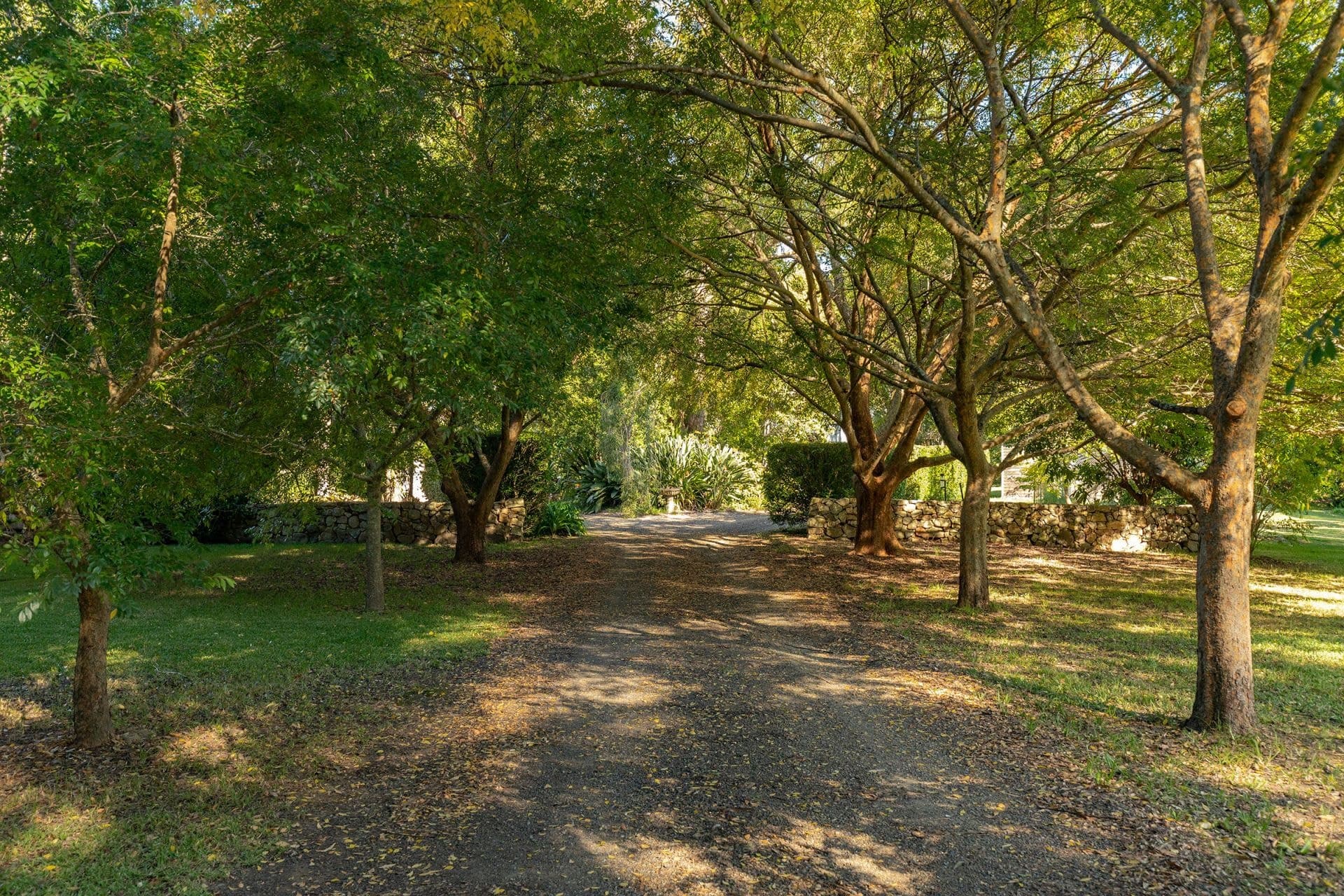 4 Thomas Place, Bungwahl NSW, Bungwahl - Thumbnail 3