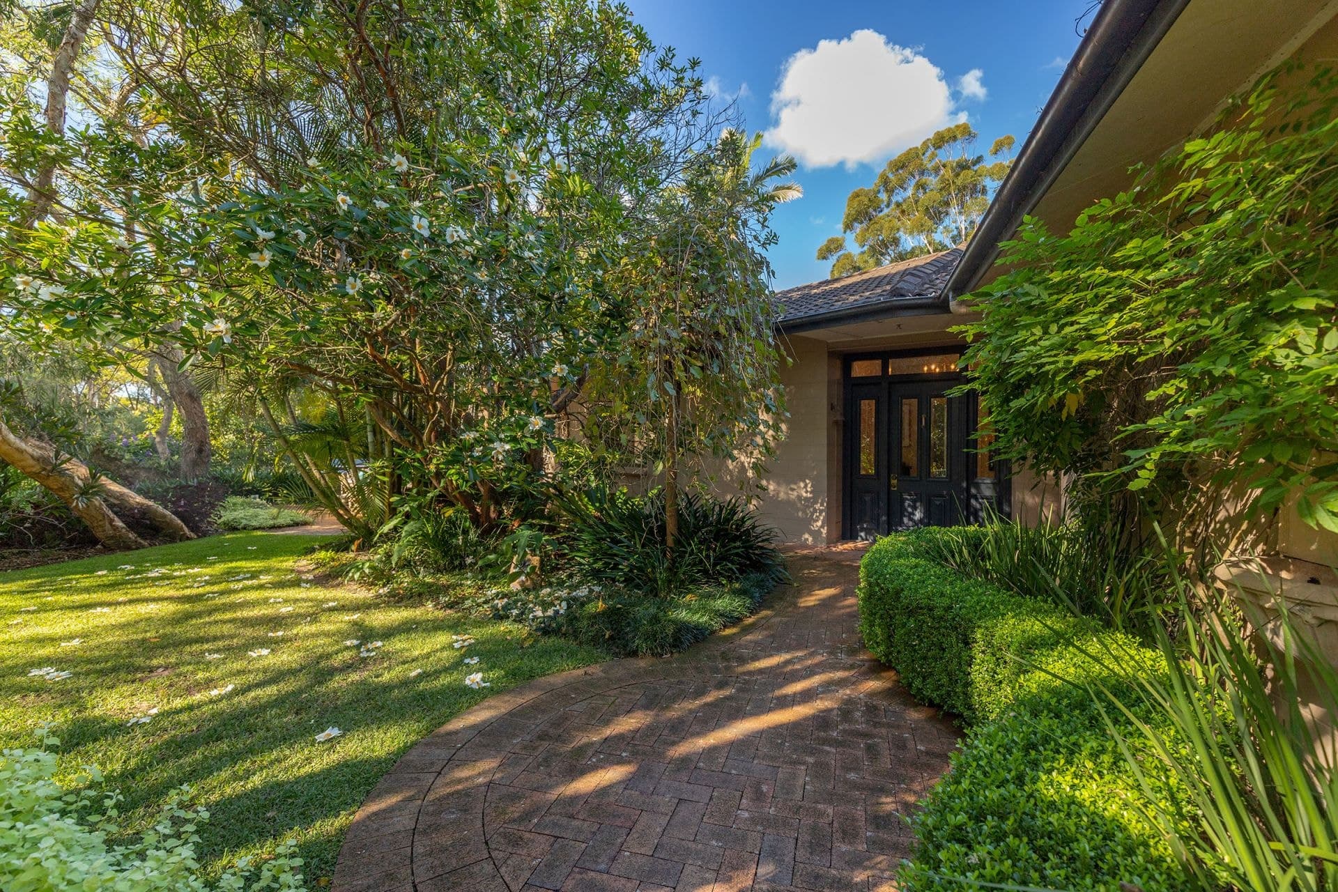 4 Thomas Place, Bungwahl NSW, Bungwahl - Thumbnail 4