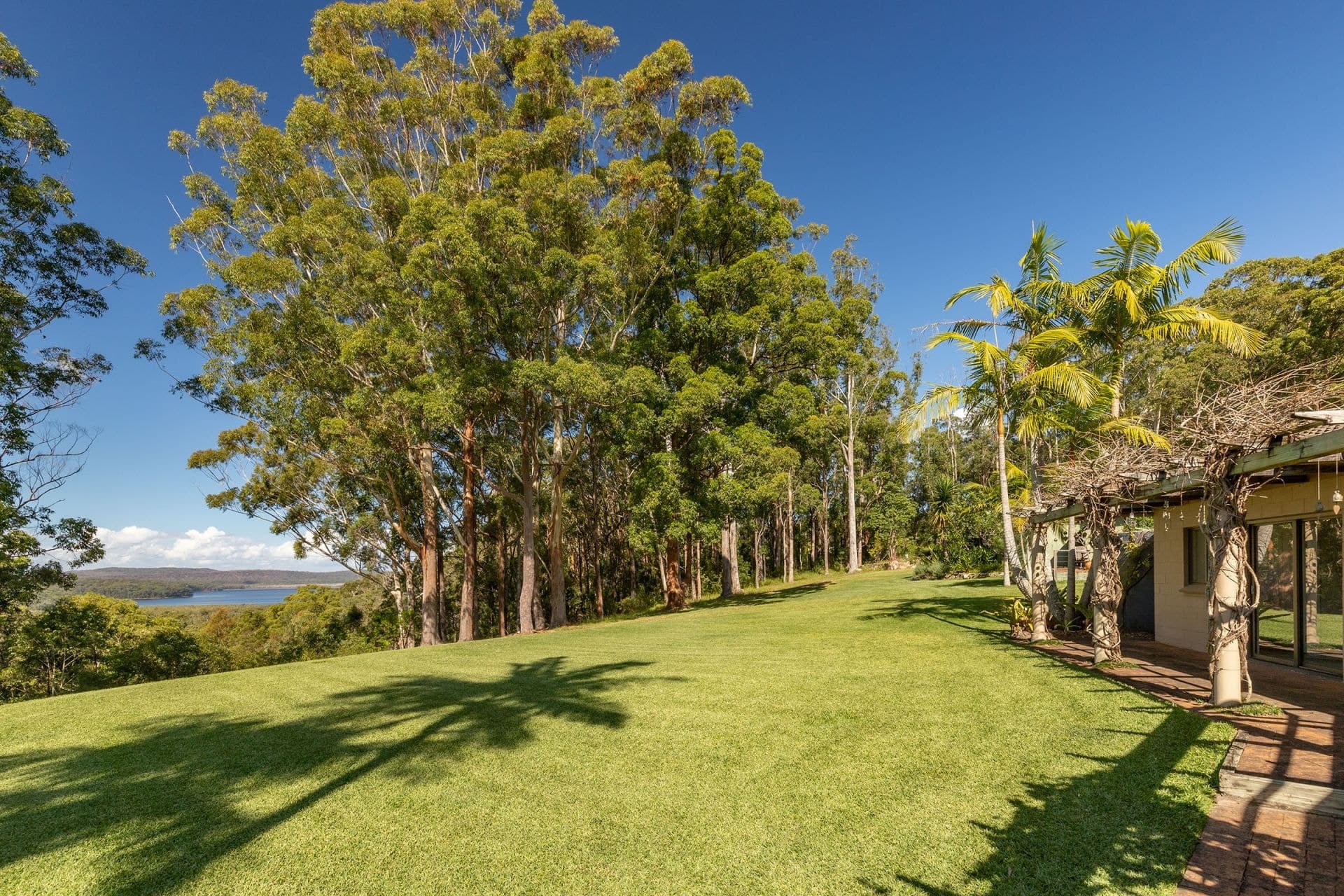 4 Thomas Place, Bungwahl NSW, Bungwahl - Thumbnail 8
