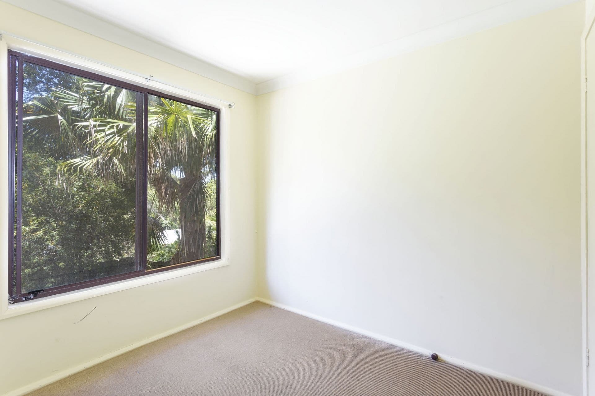 19 Third Ridge Road, Smiths Lake NSW, Smiths Lake - Thumbnail 4
