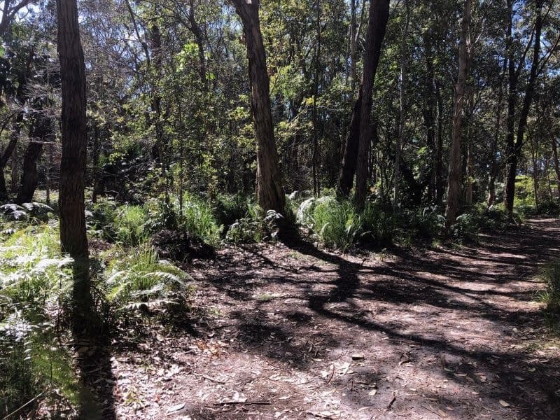 61 Red Gum Road, Boomerang Beach NSW, Boomerang Beach - Thumbnail 3