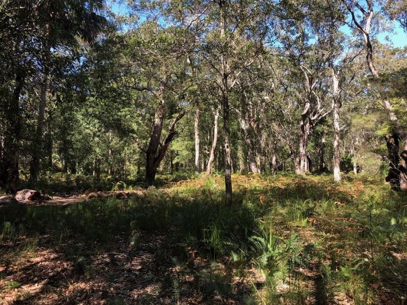 61 Red Gum Road, Boomerang Beach NSW, Boomerang Beach - Thumbnail 4