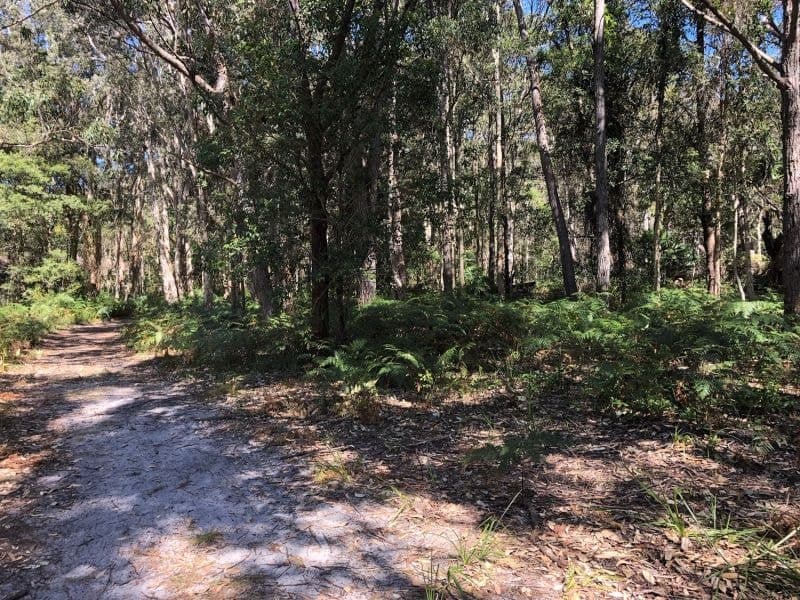 61 Red Gum Road, Boomerang Beach NSW, Boomerang Beach - Thumbnail 6