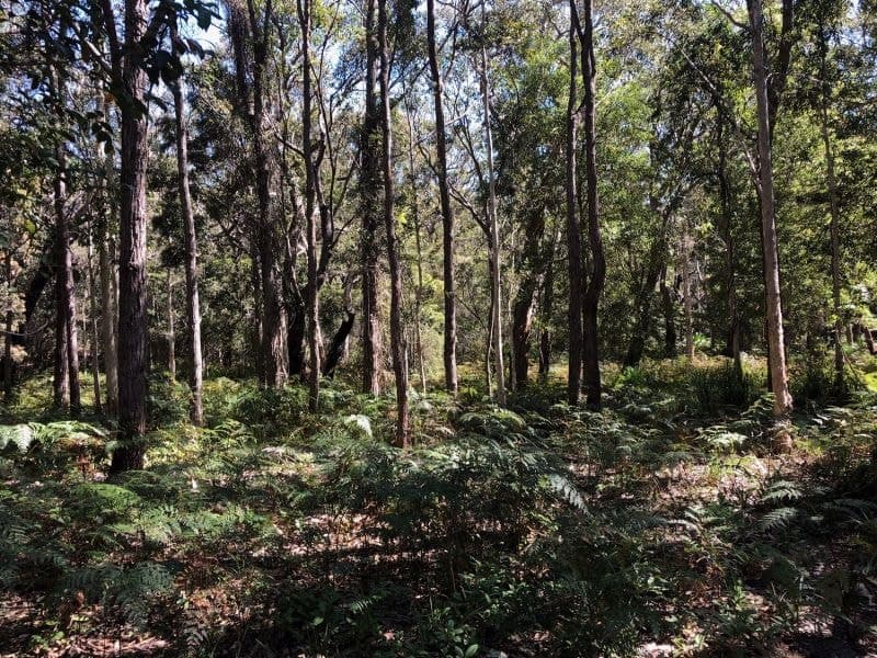 61 Red Gum Road, Boomerang Beach NSW, Boomerang Beach - Thumbnail 7