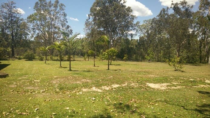 22 Petrel Court, Caboolture - Thumbnail 7