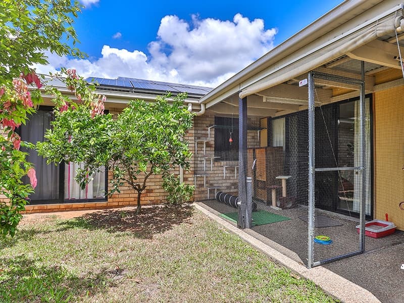 18 Jayden Court, Bellmere - Thumbnail 5