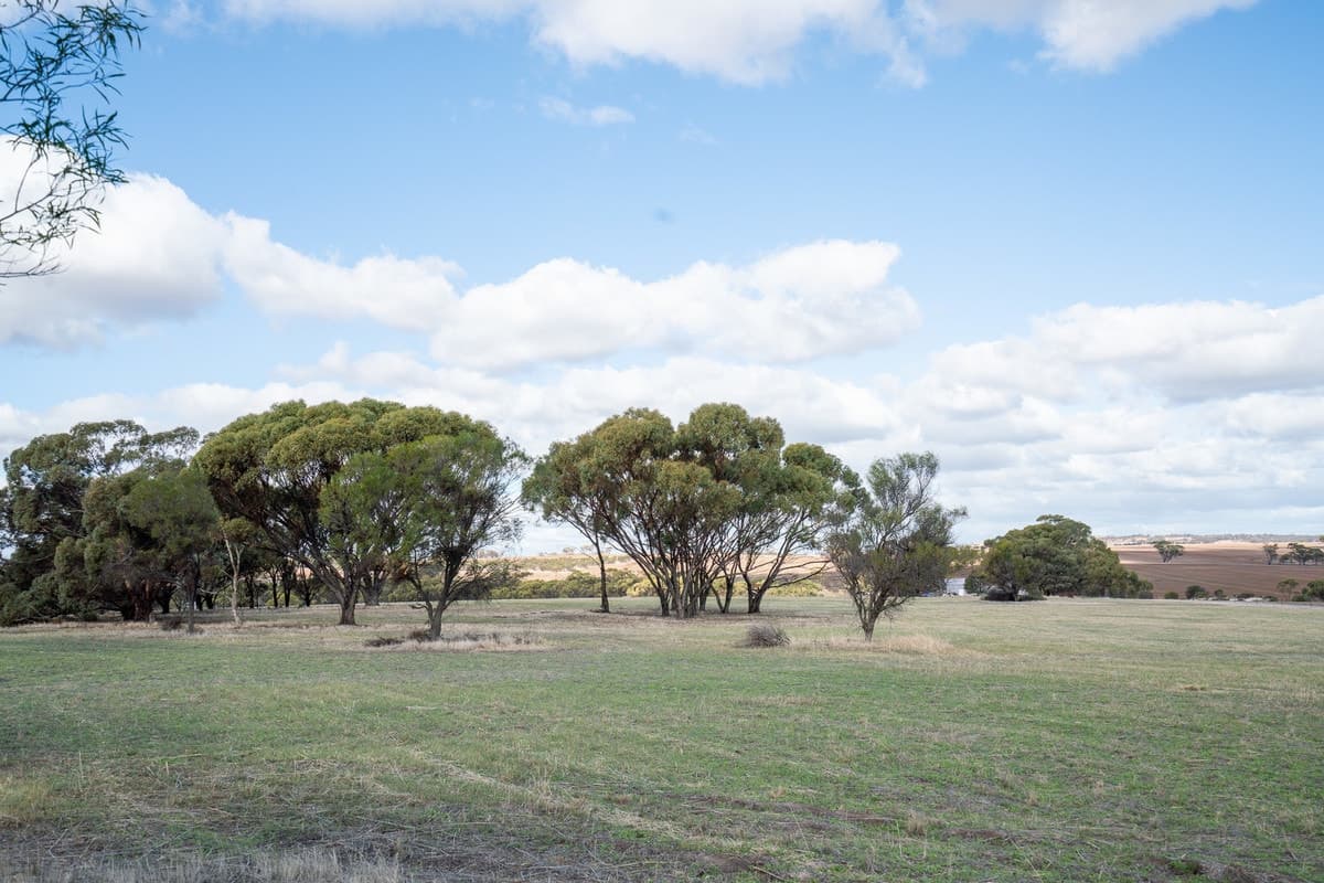 166 Bejoording Road, Bejoording WA 6566, Bejoording - Thumbnail 7