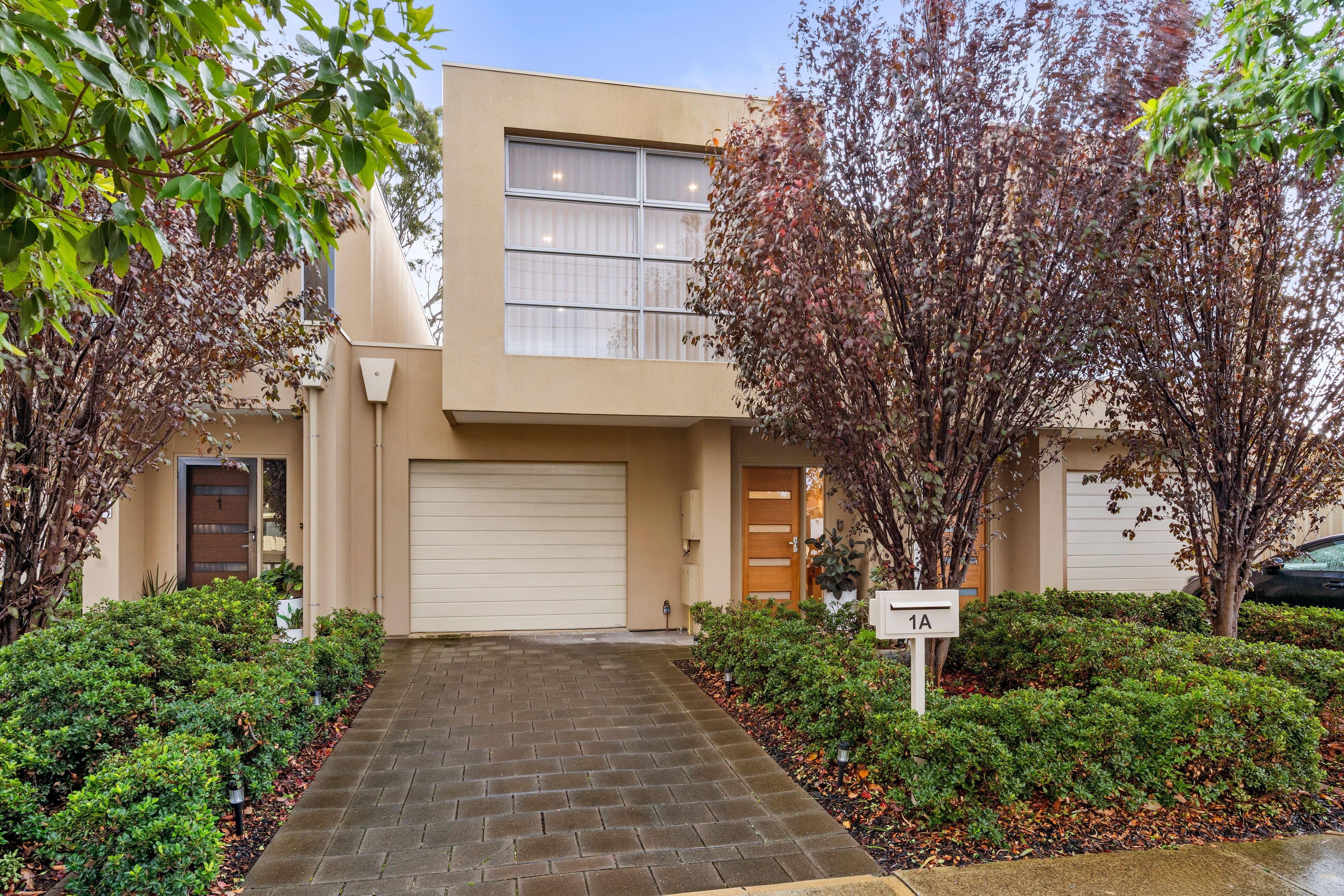 1A Shakespeare Avenue, Plympton Park SA 5038, Plympton Park - Thumbnail 2