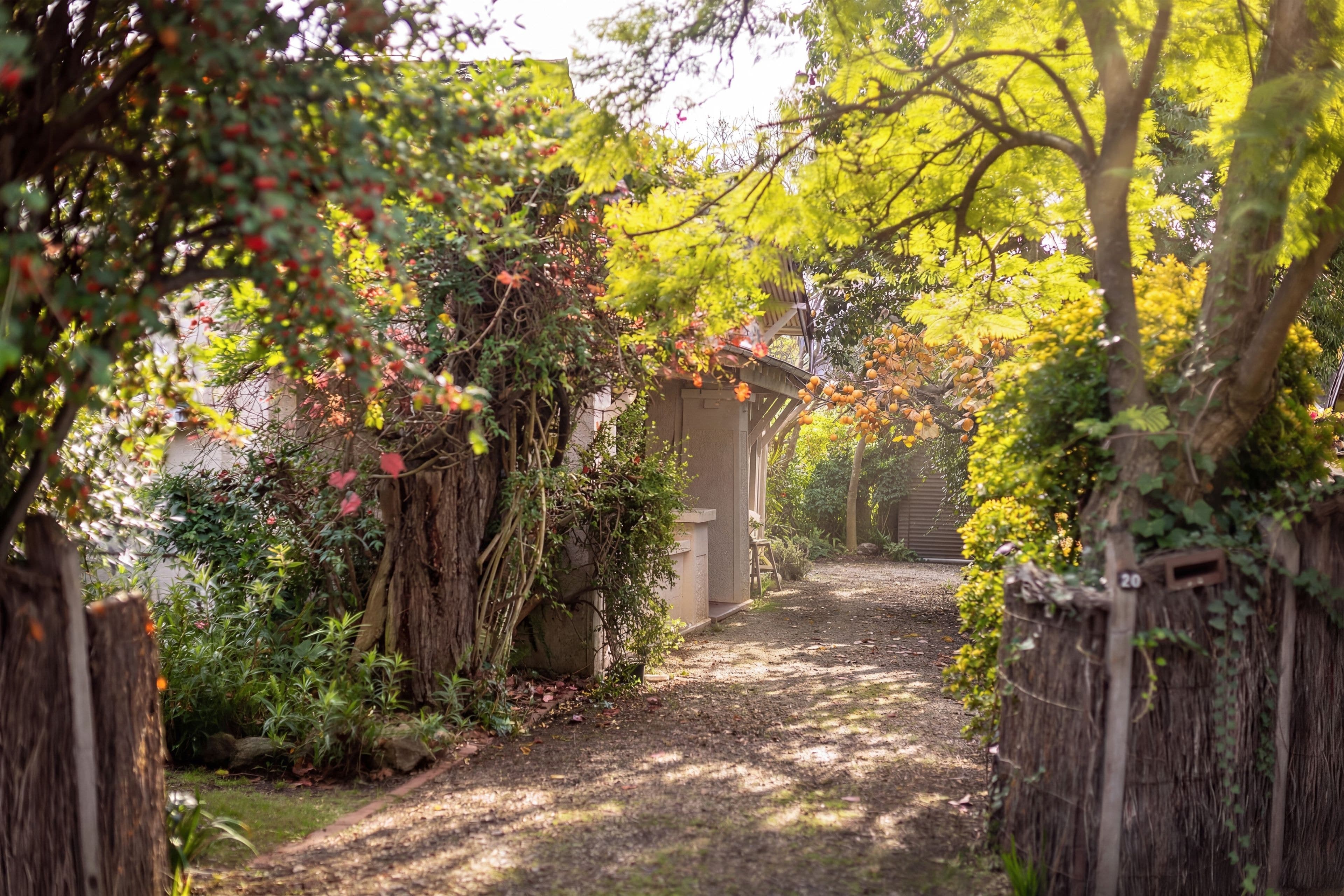 20 Glen Avenue, Unley Park SA 5061, Unley Park - Thumbnail 7