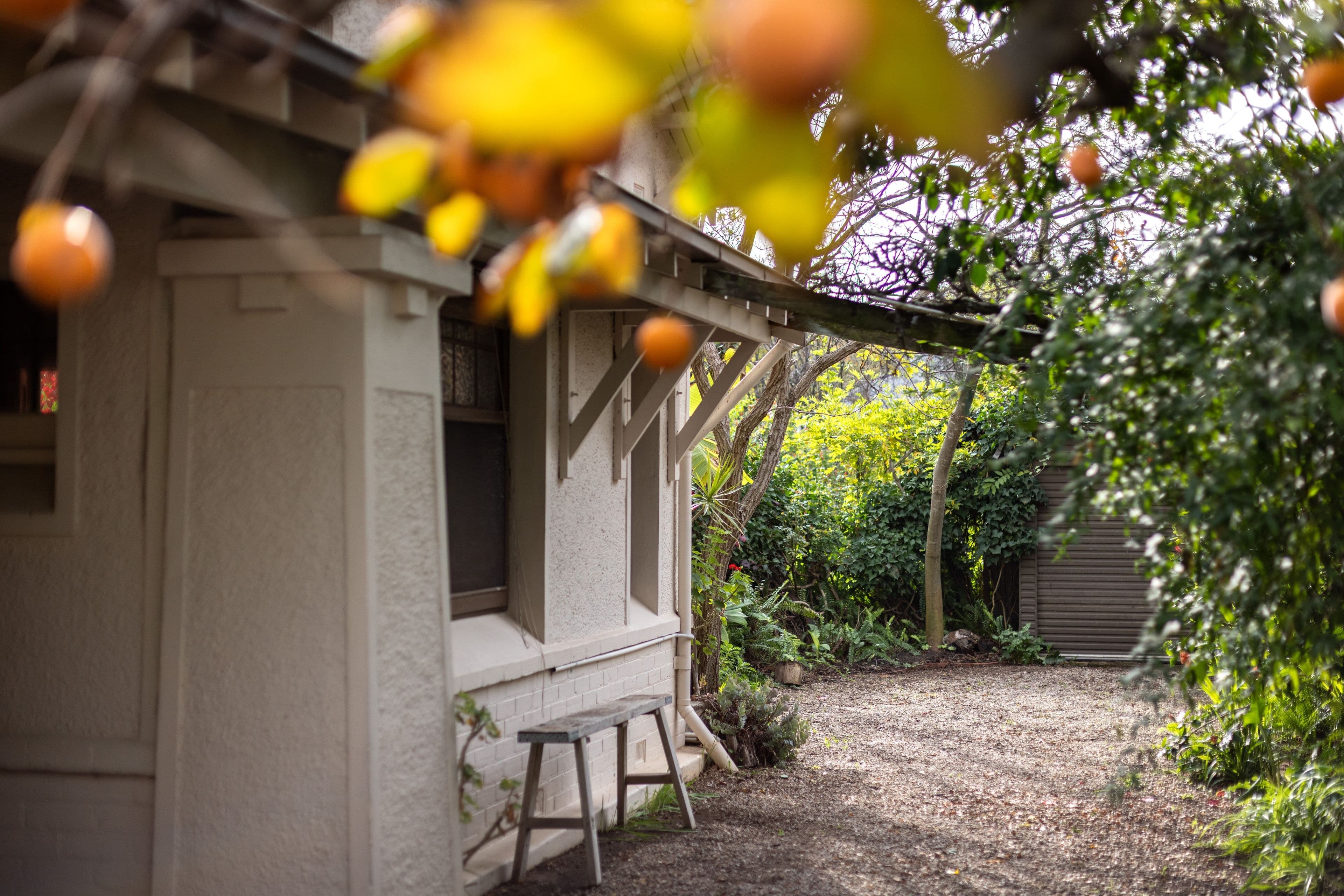 20 Glen Avenue, Unley Park SA 5061, Unley Park - Thumbnail 8