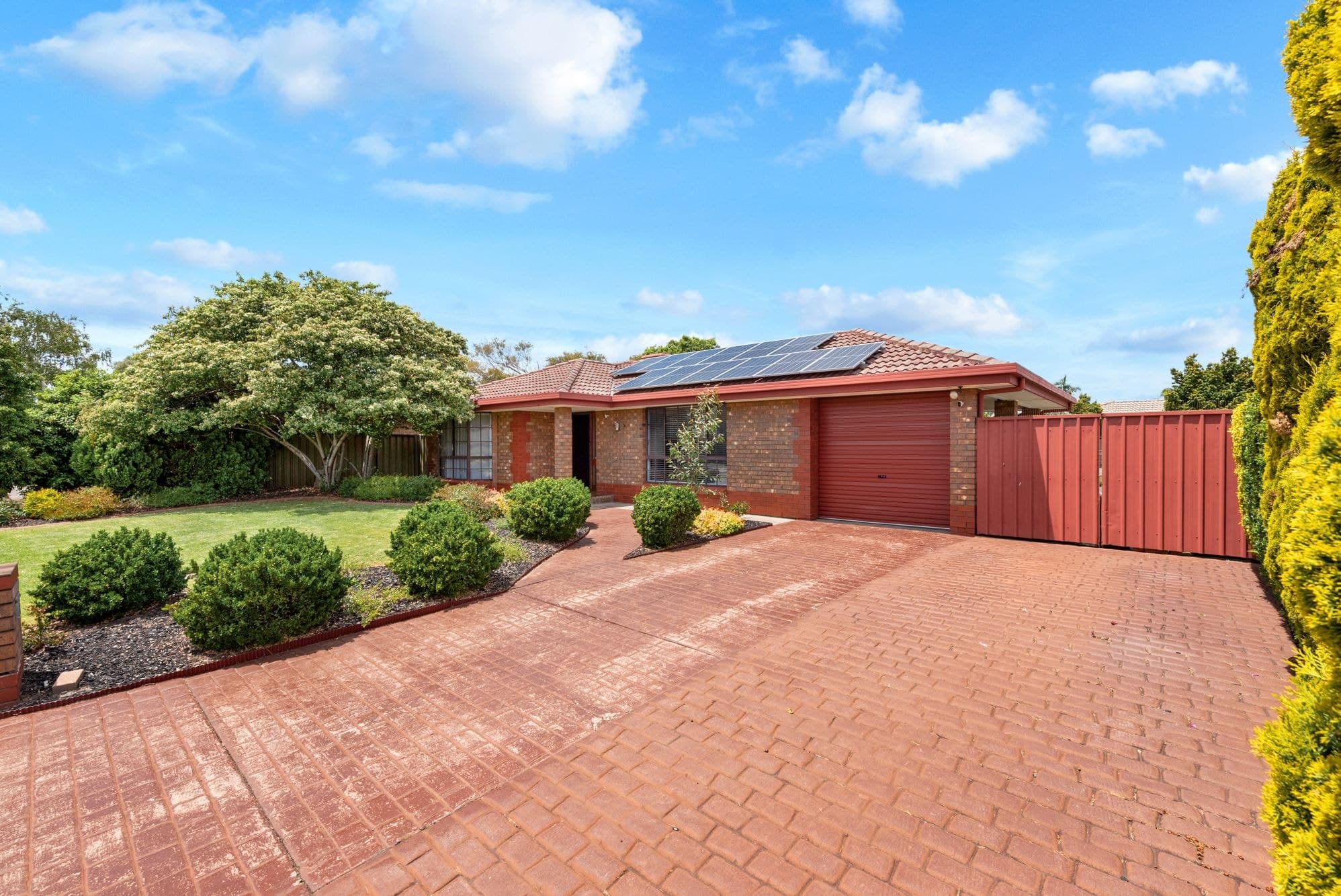 16 Jacqueline Avenue, Woodcroft SA 5162, Woodcroft - Thumbnail 3