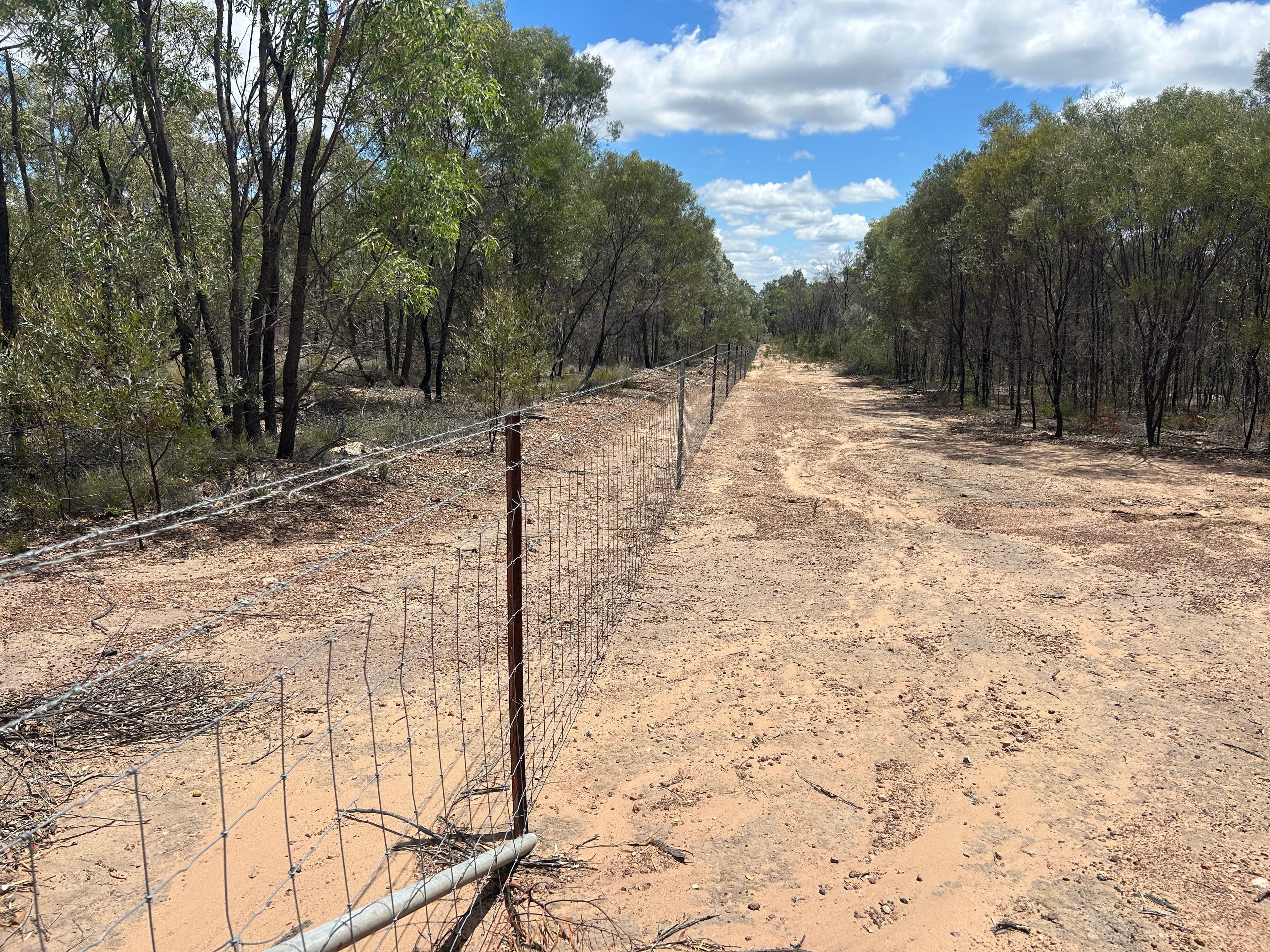 Tara QLD 4421, Tara - Thumbnail 3