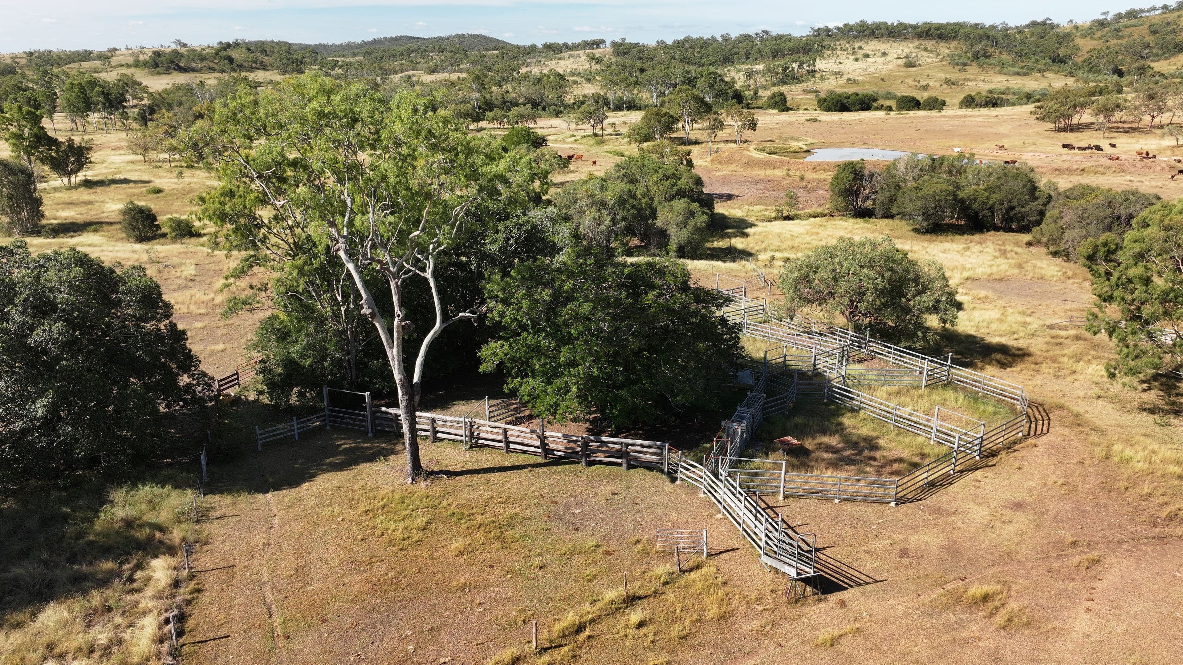 'Leila Park' A Pierce Road, Morinish QLD 4702, Morinish - Thumbnail 3