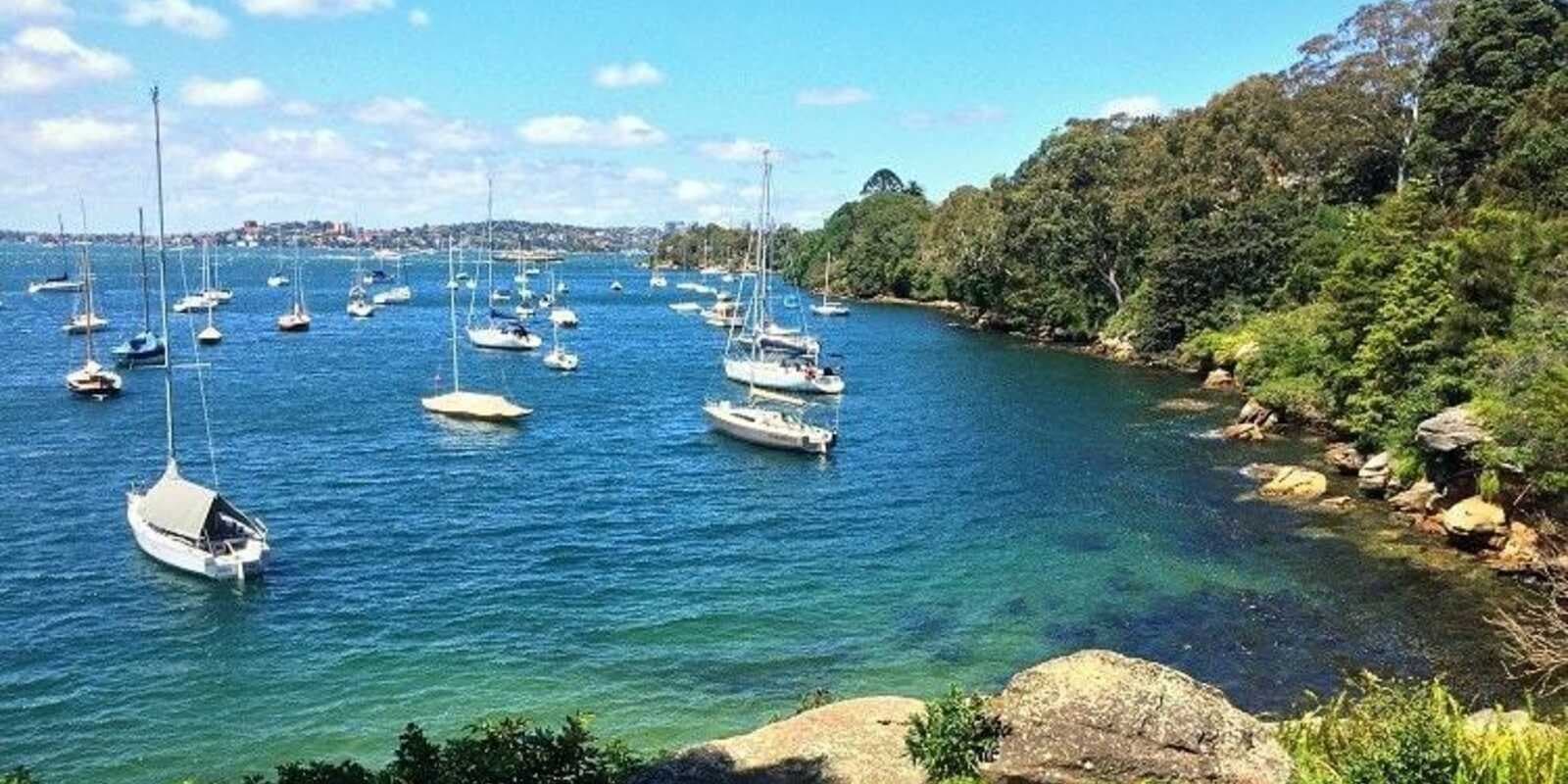 8/57 Milson Road Cremorne, Cremorne - Thumbnail 6