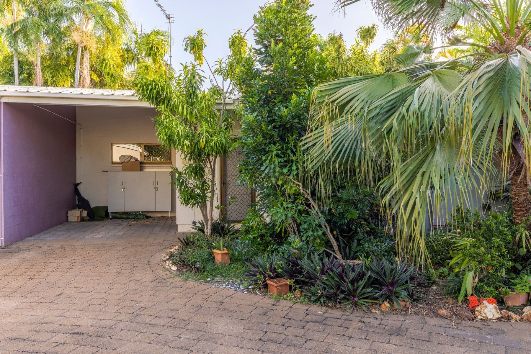 11/11 Geranium Street, The Gardens NT 0820, The Gardens - Image 1