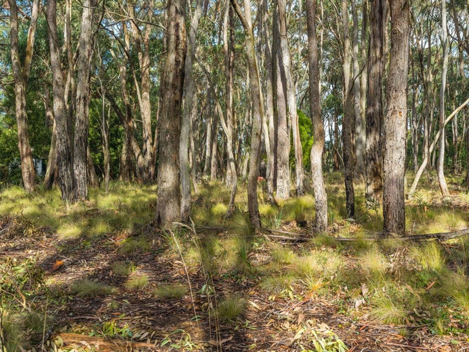 71 Acacia Avenue, Dales Creek VIC 3341, Dales Creek - Thumbnail 4