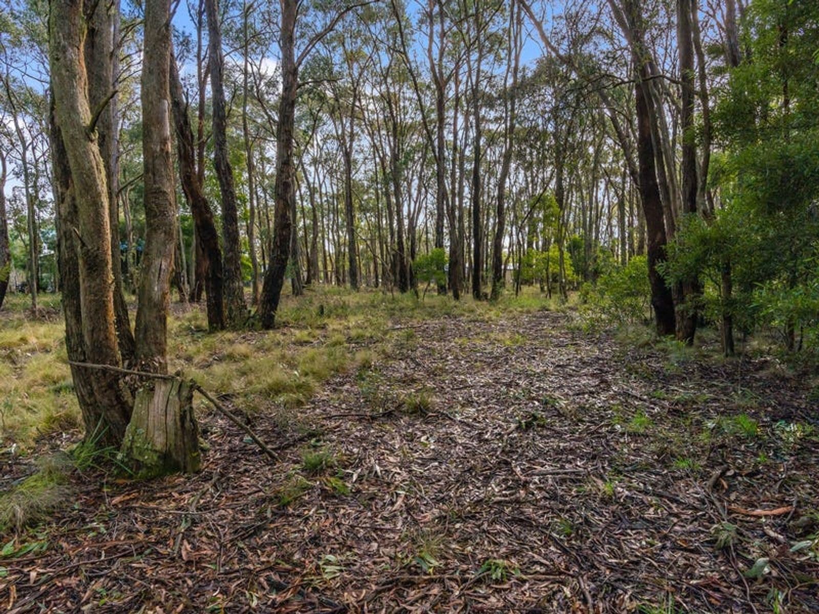 71 Acacia Avenue, Dales Creek VIC 3341, Dales Creek - Thumbnail 5