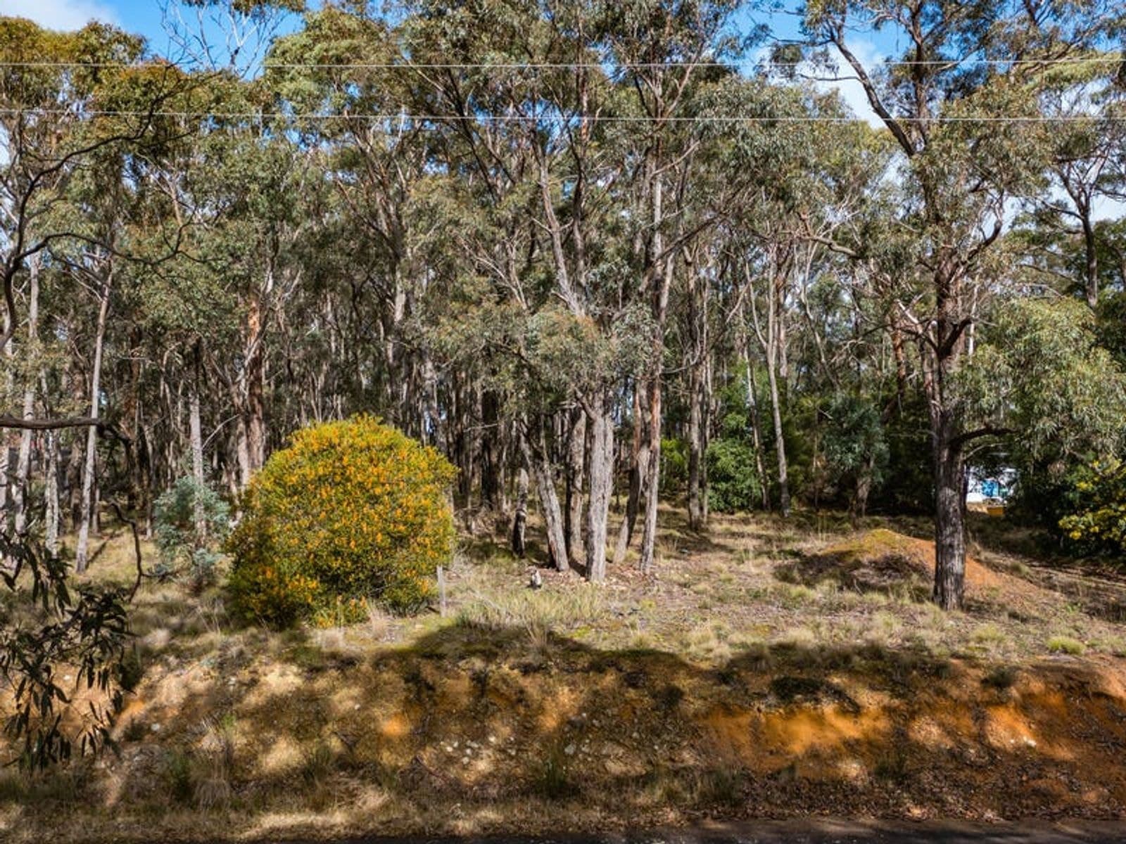 71 Acacia Avenue, Dales Creek VIC 3341, Dales Creek - Thumbnail 6